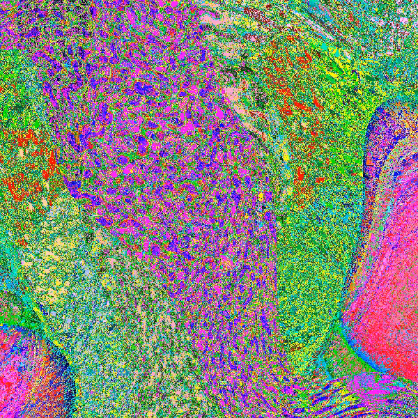 Einstein-Rosen Memories #25