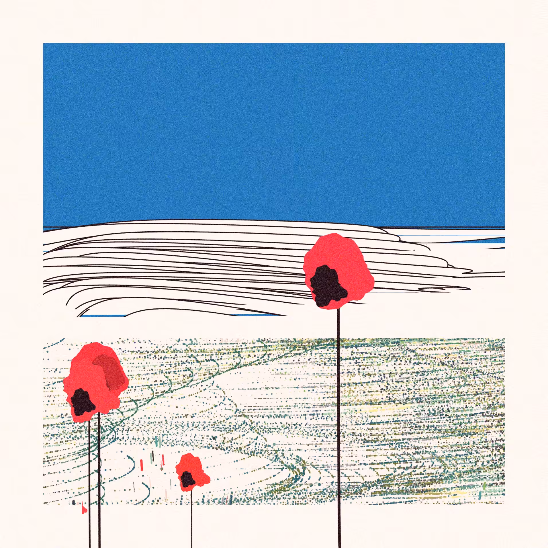 Poppies of Normandy