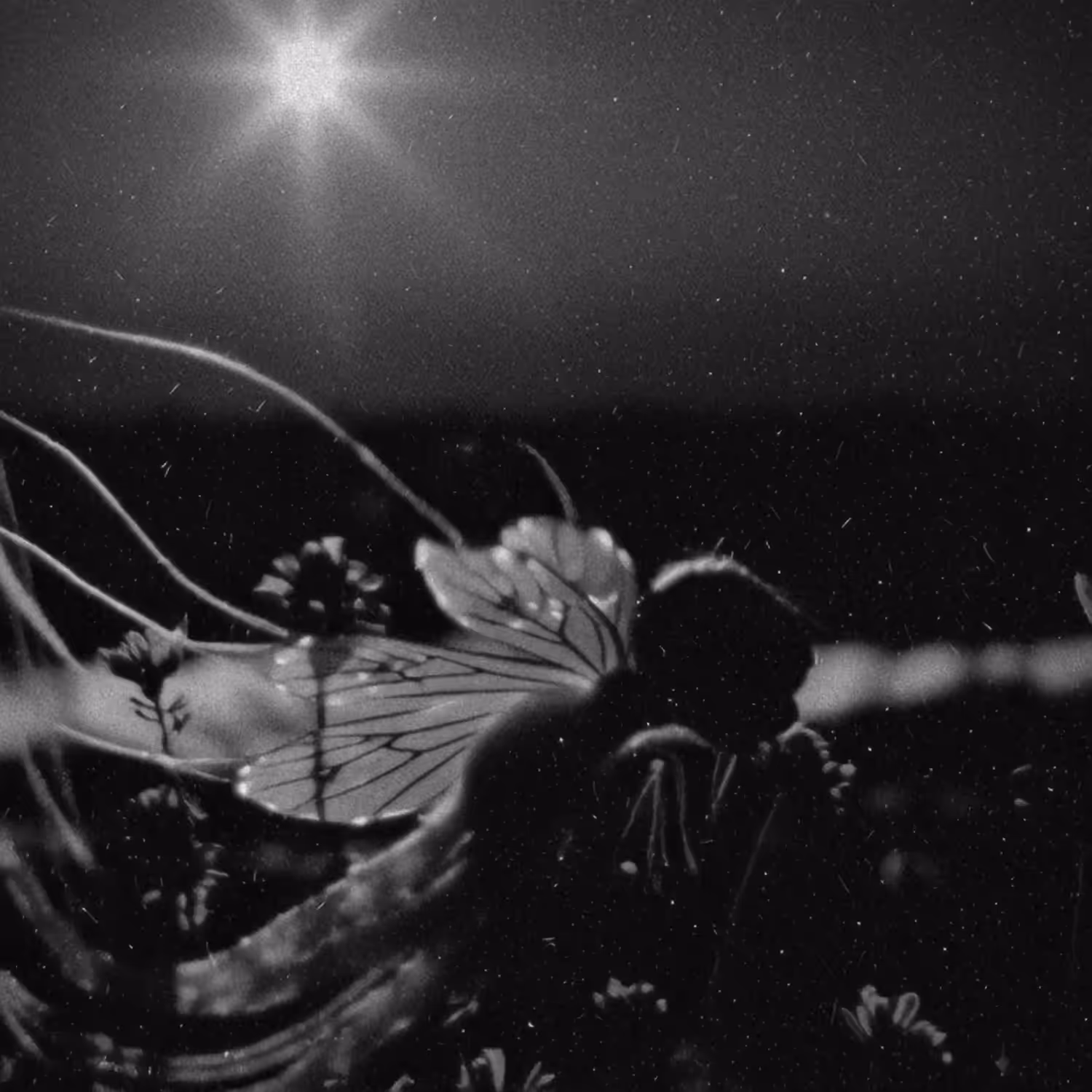 Undertow
