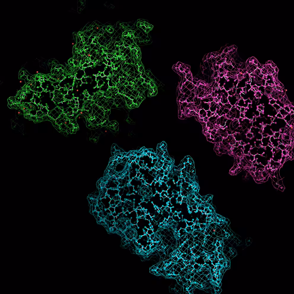 Cytochrome 4EJJ glitch