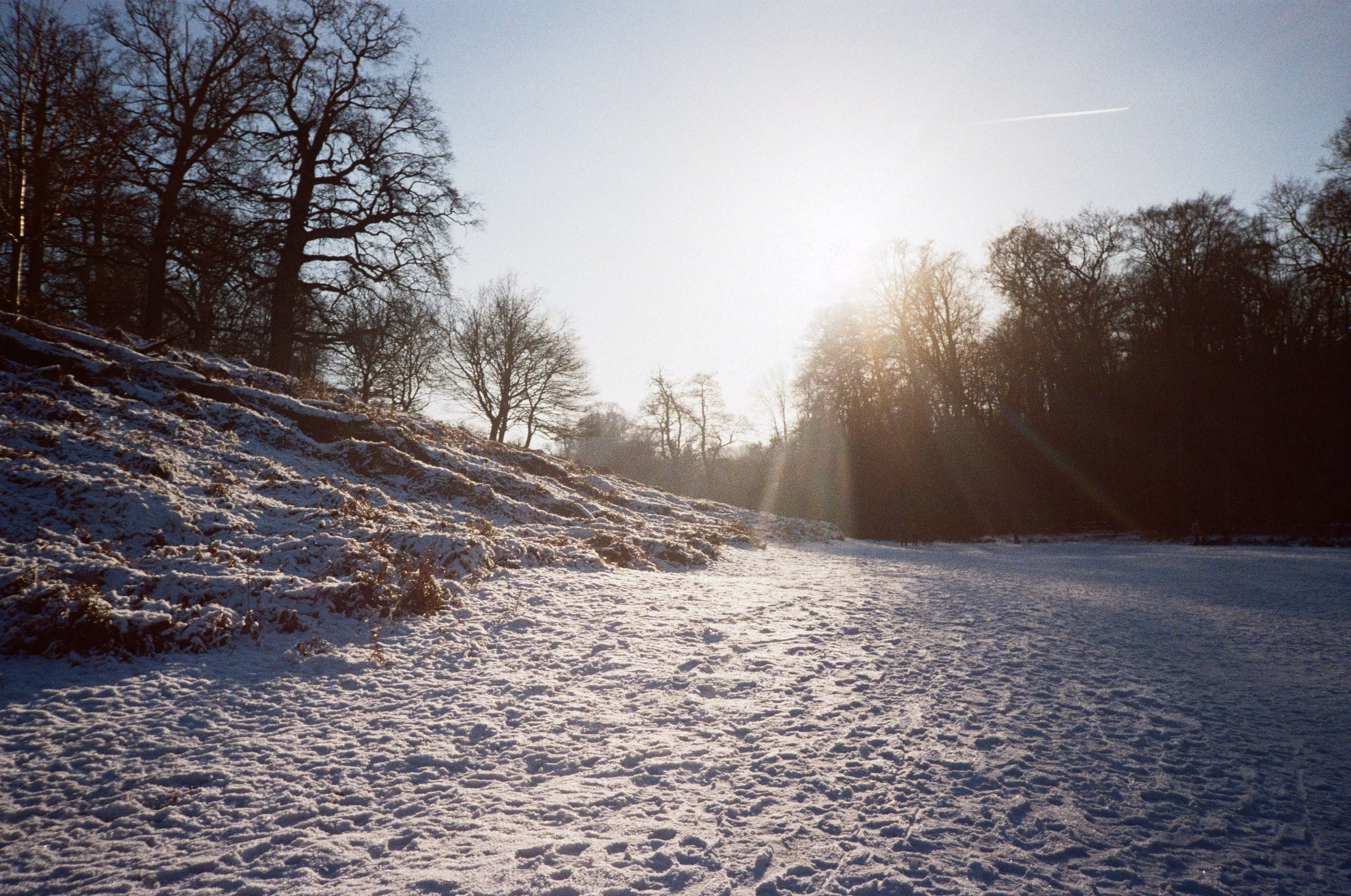 Snowy days on film