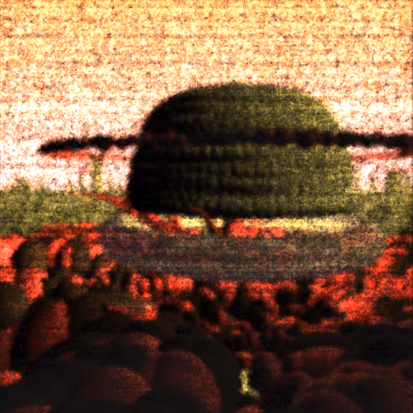 Last Transmission #3