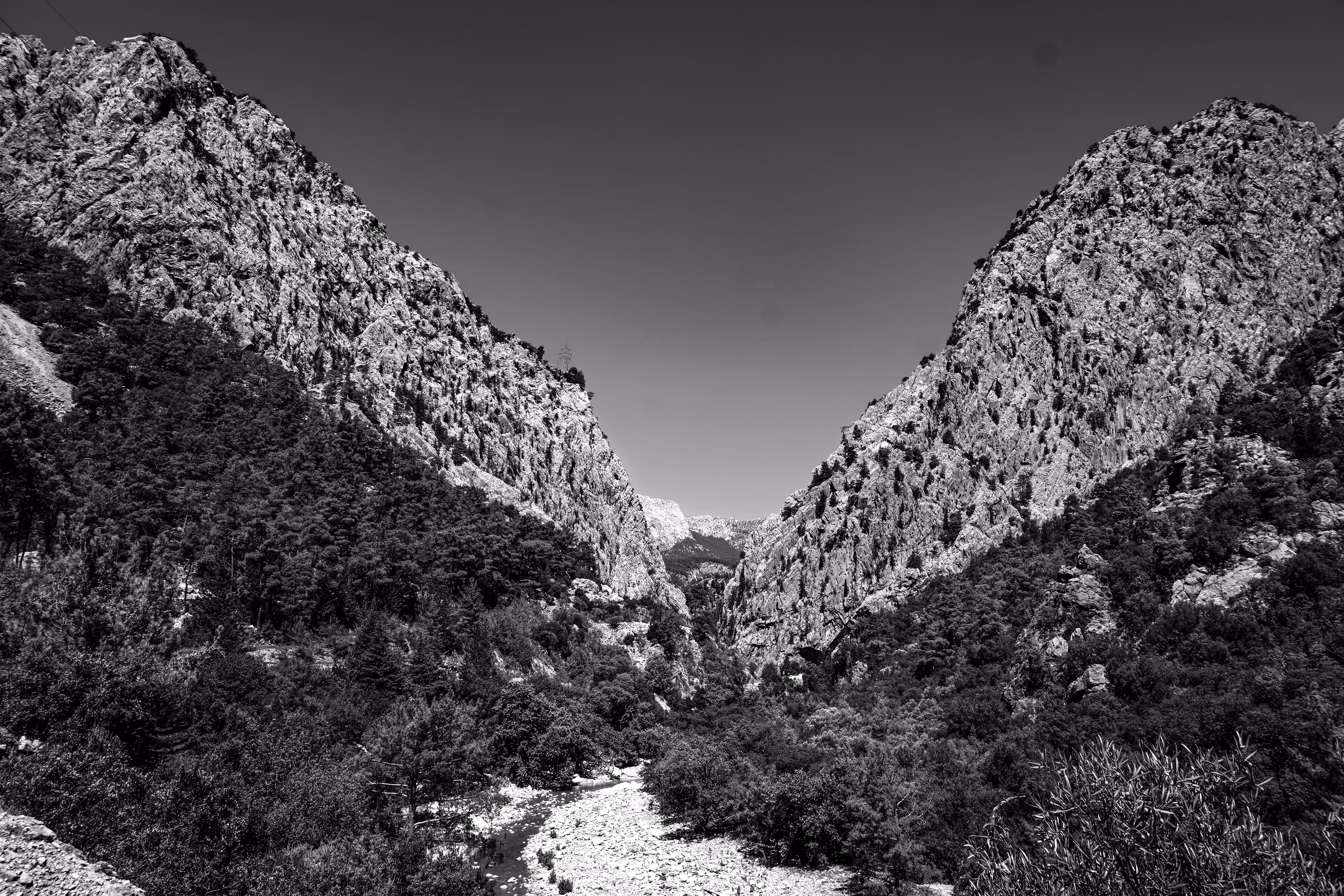 Pine's Passage