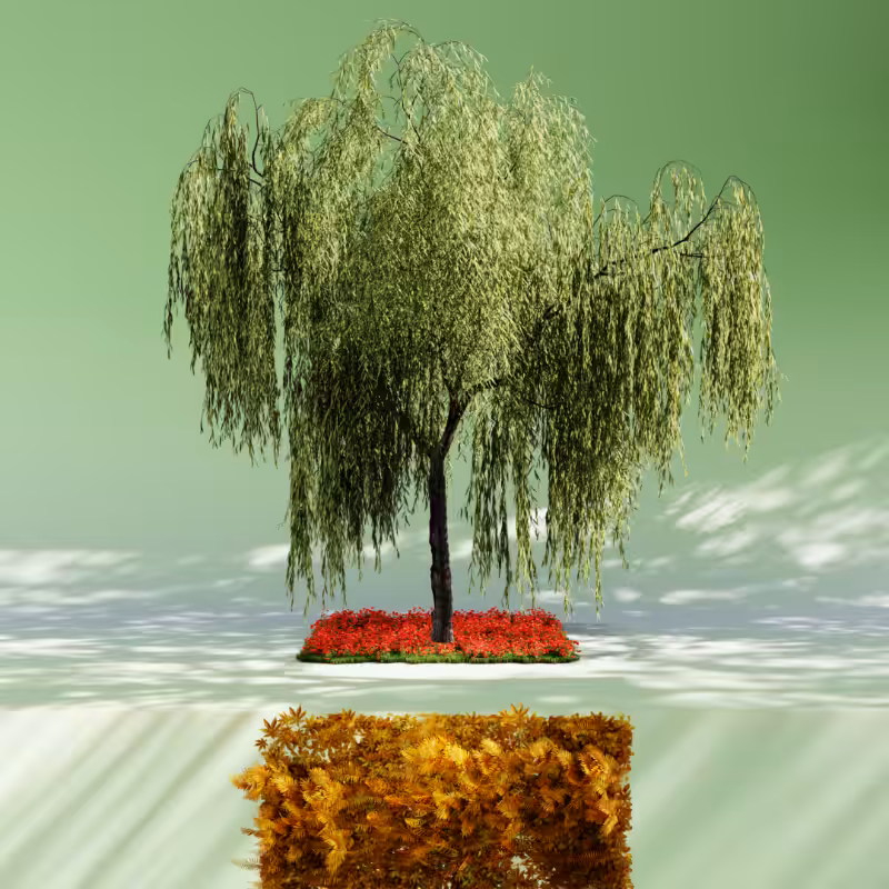 Nature rooms #40