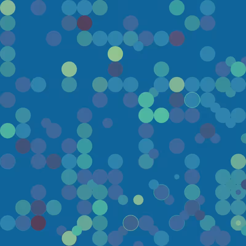circolution #6