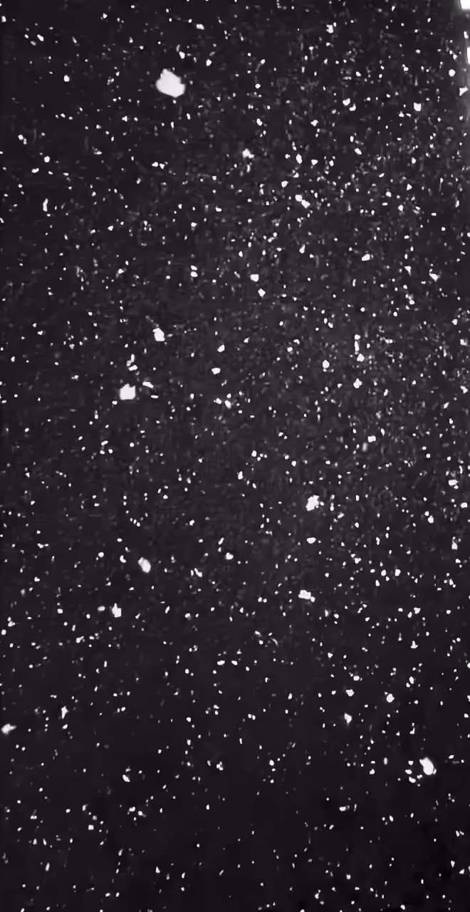 ❄️