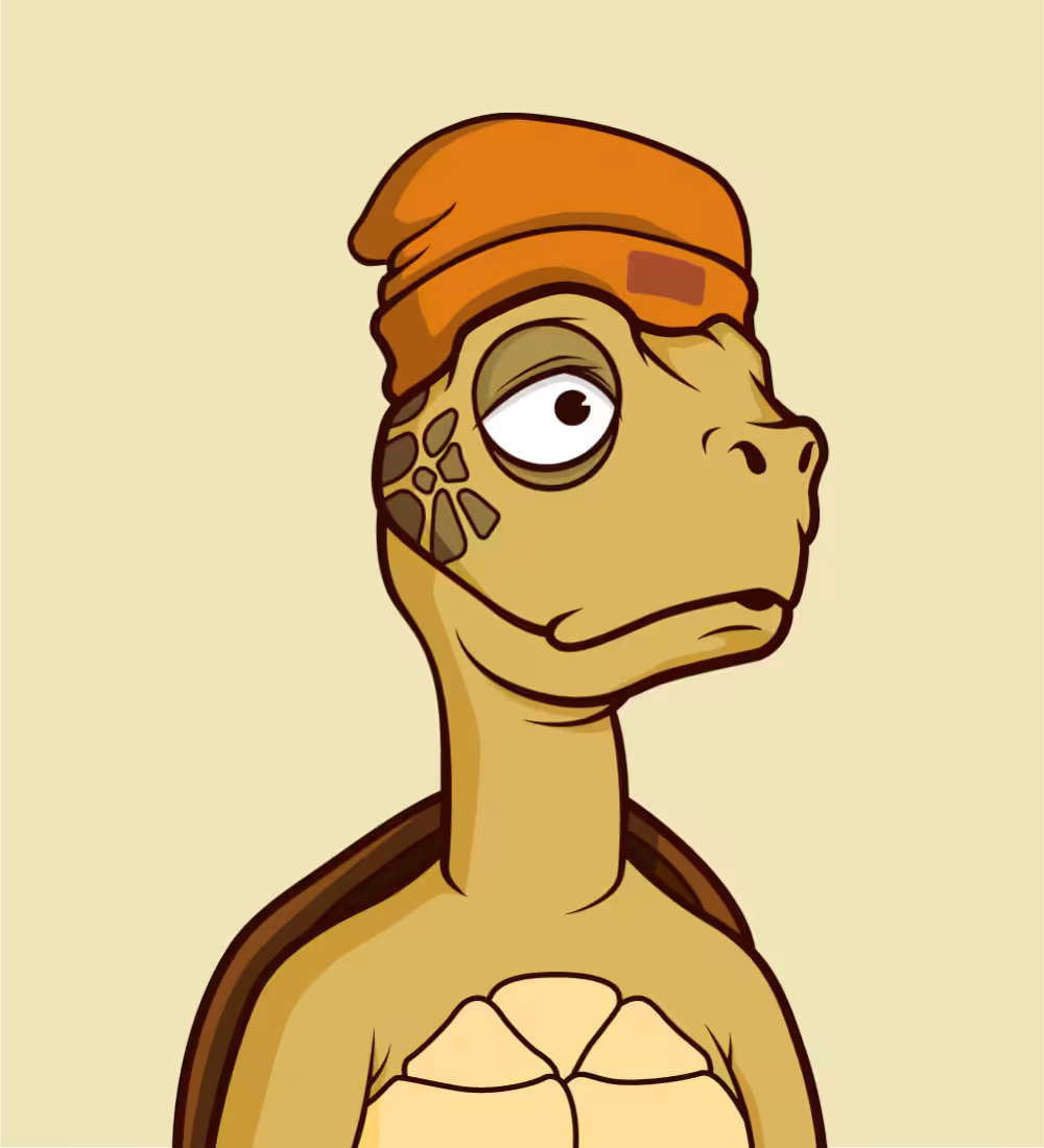 Tiny Turtle 96