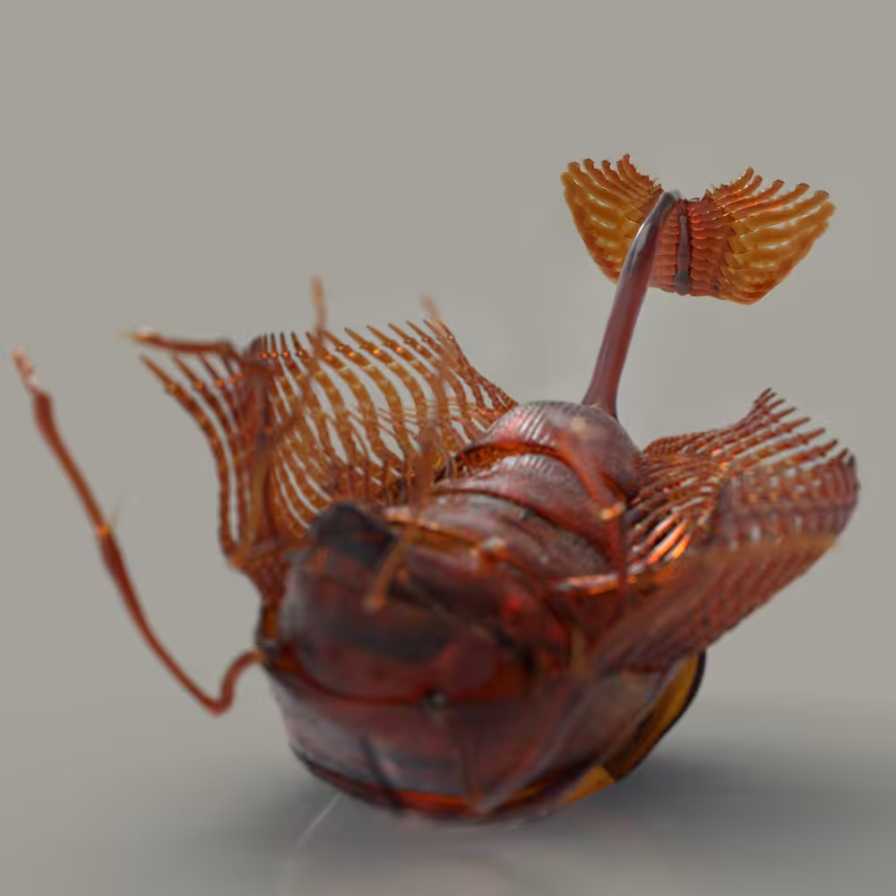 Exoskeleton