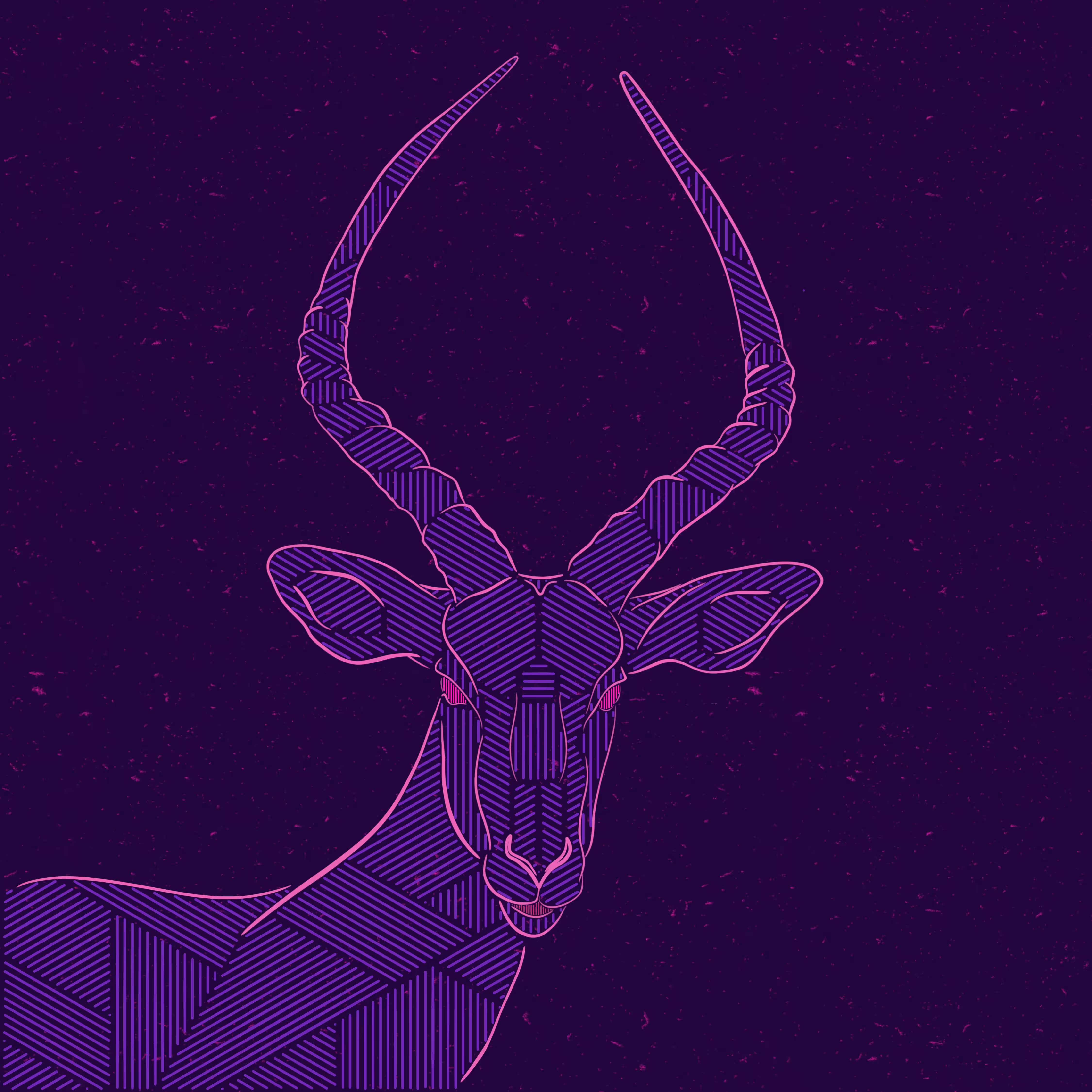 Antelope la#11