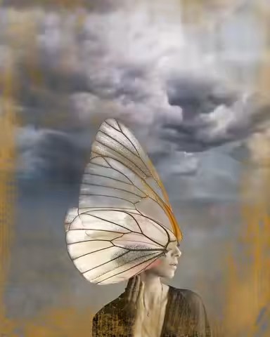 / PSIQUE / wings