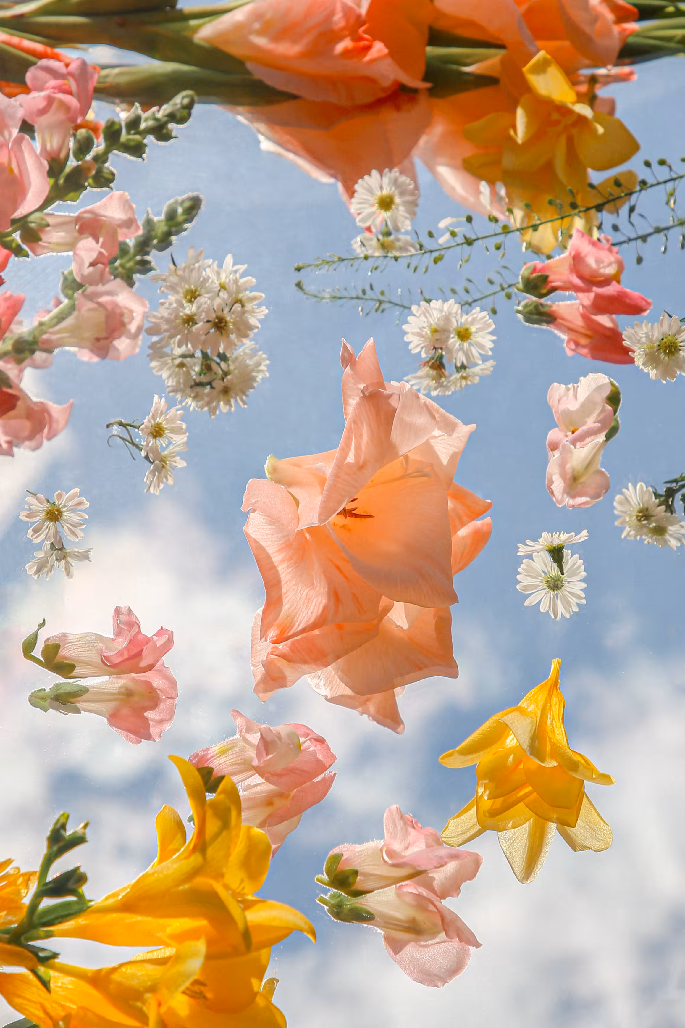 Lift Me Up