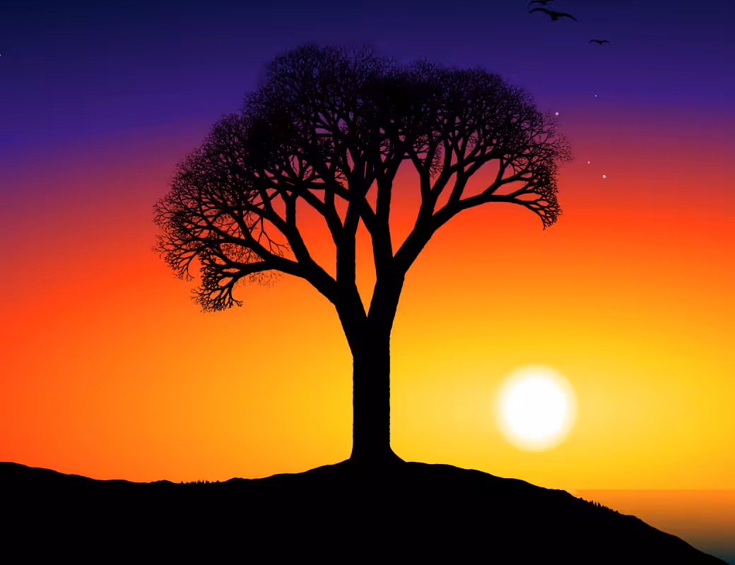 This Tree #22