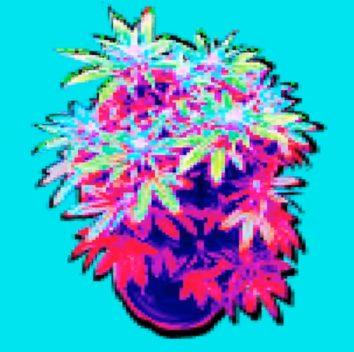 HEN TREE -063