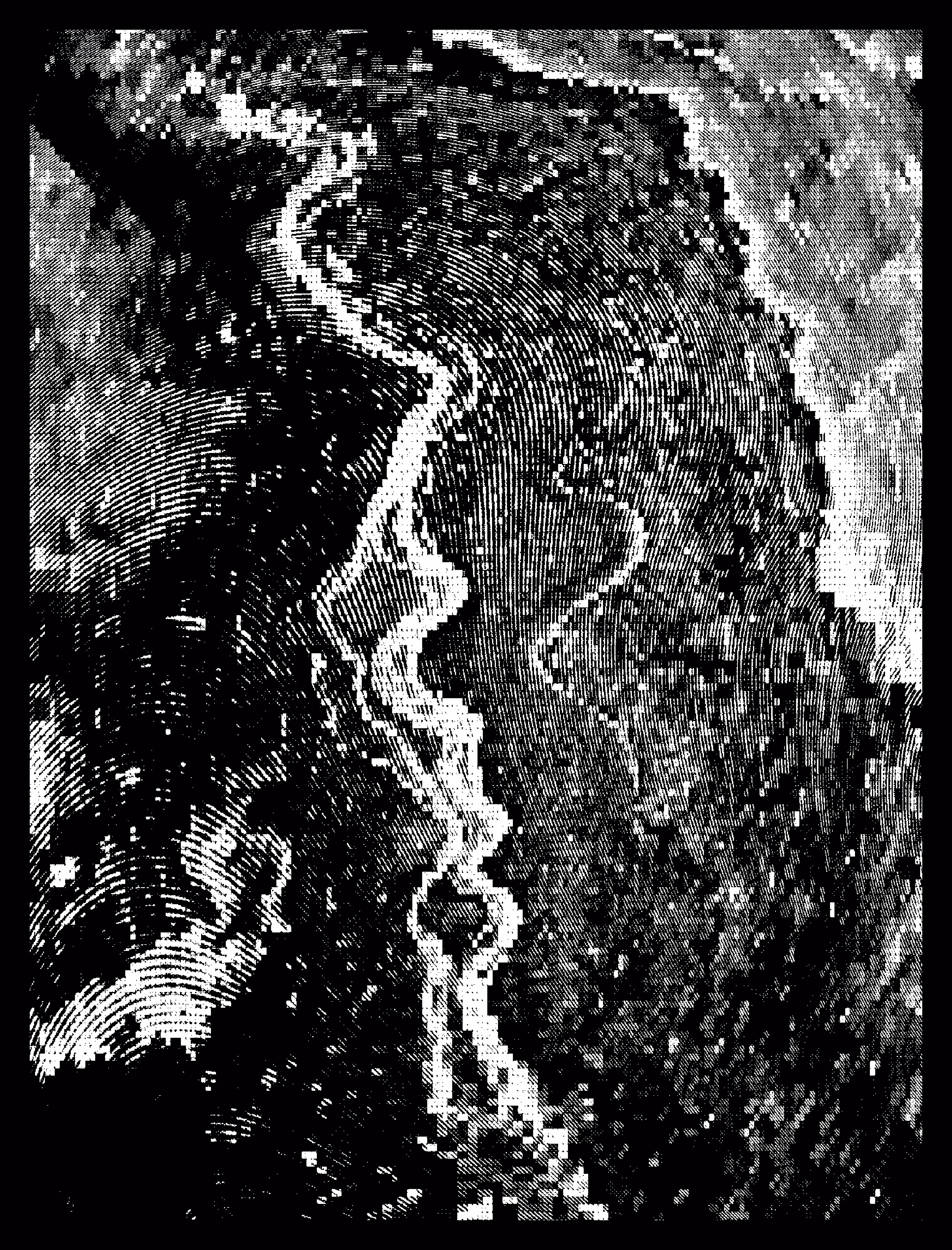 Wave