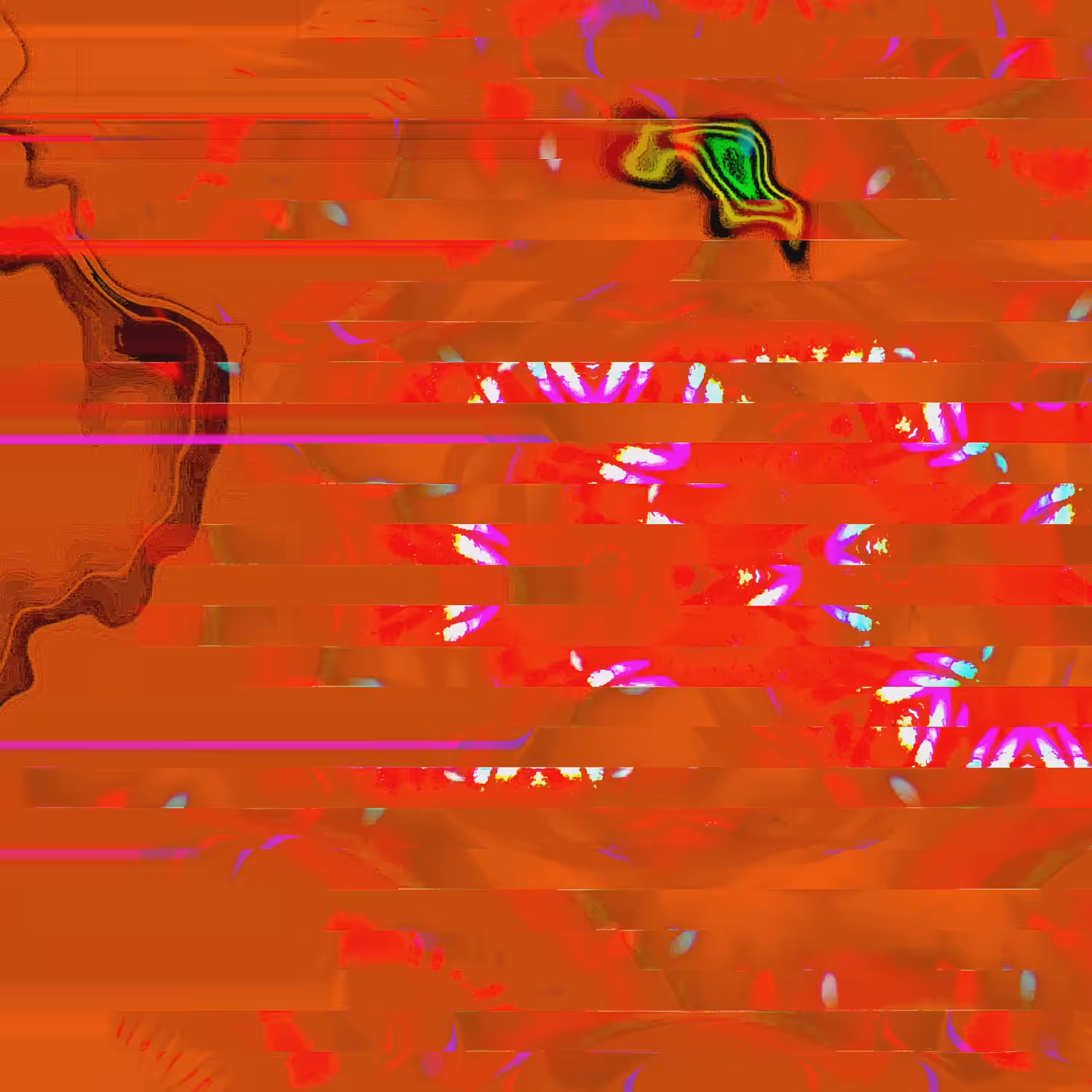 SPONG V.213