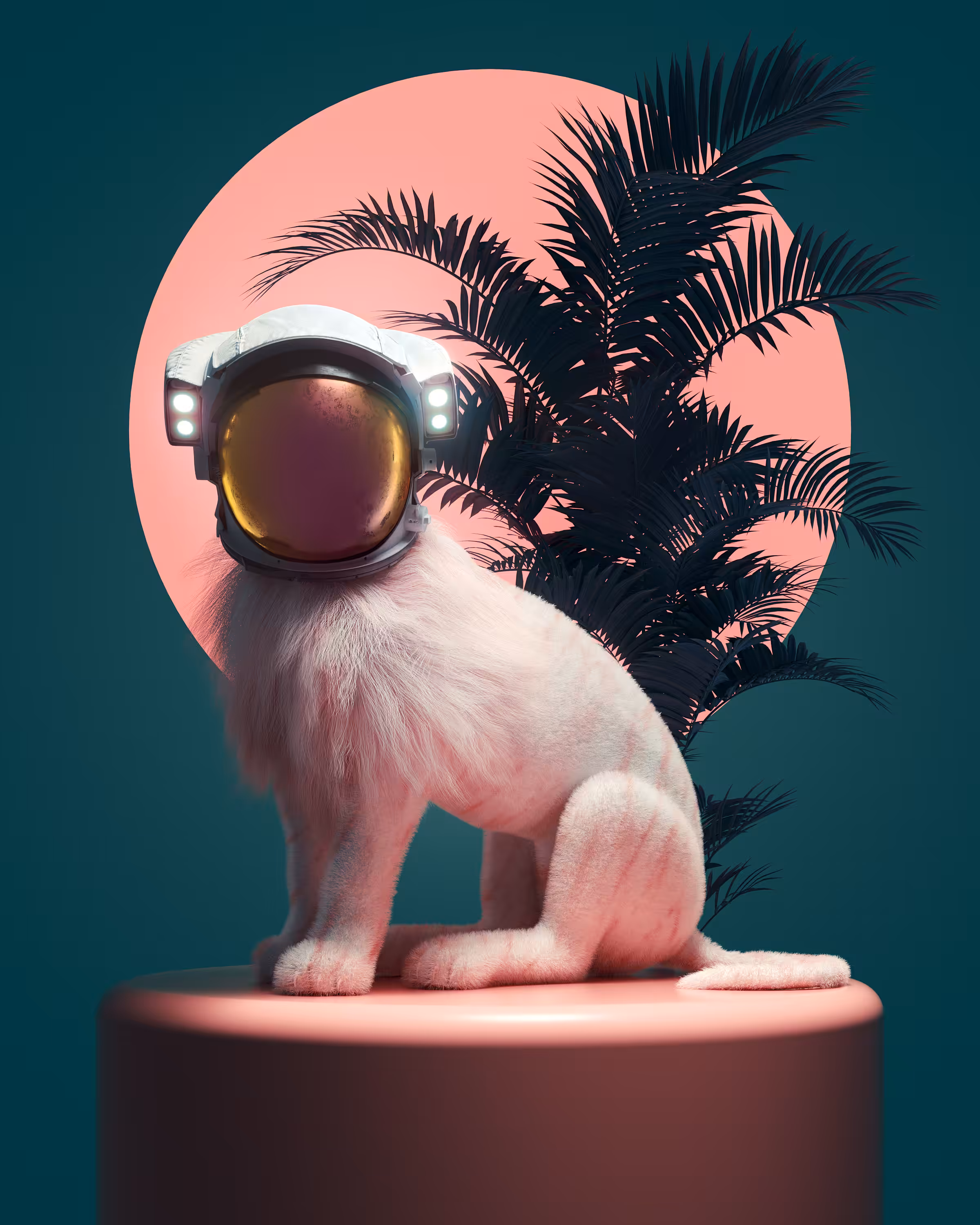 Space cat.