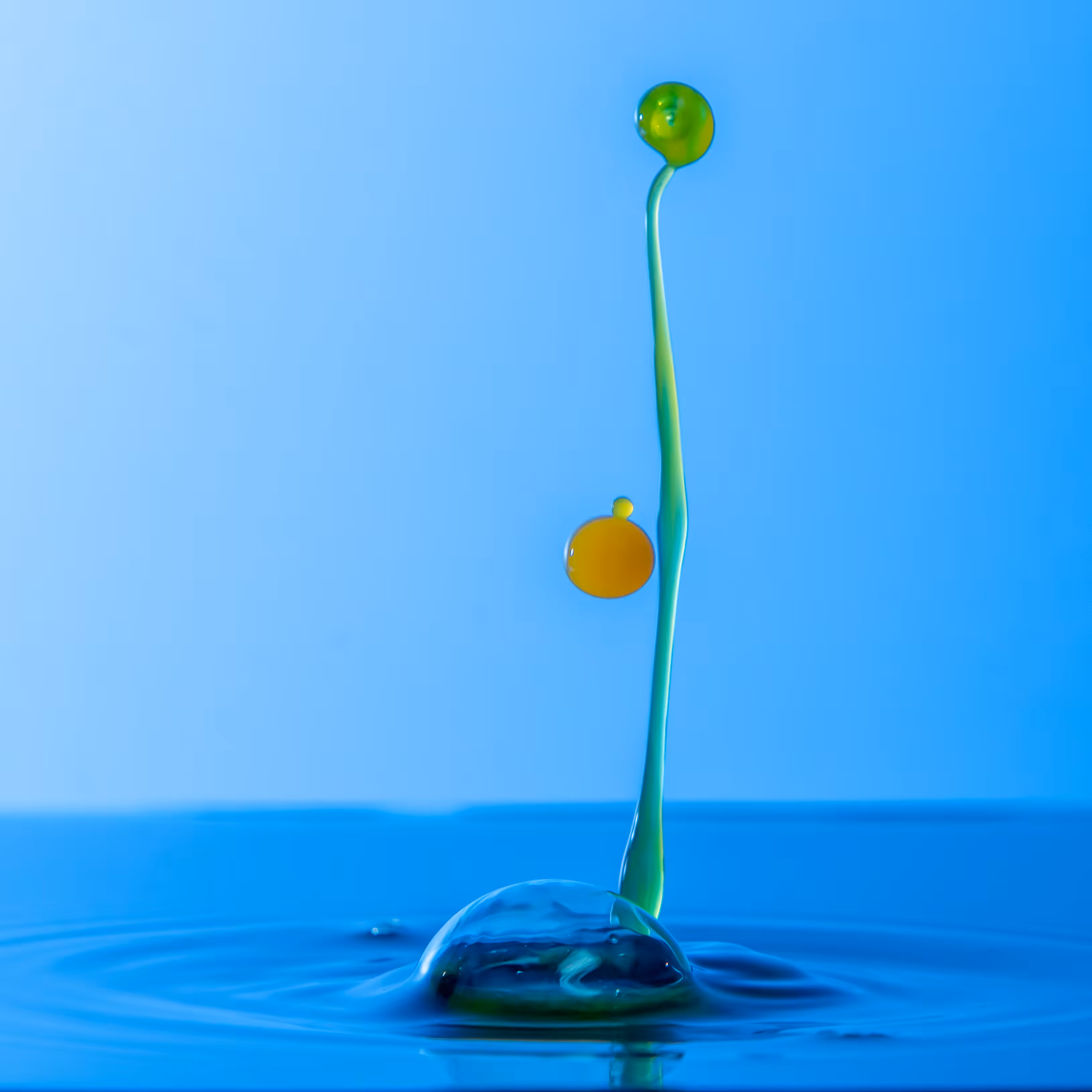 Drip-Drop-Plop-Peas