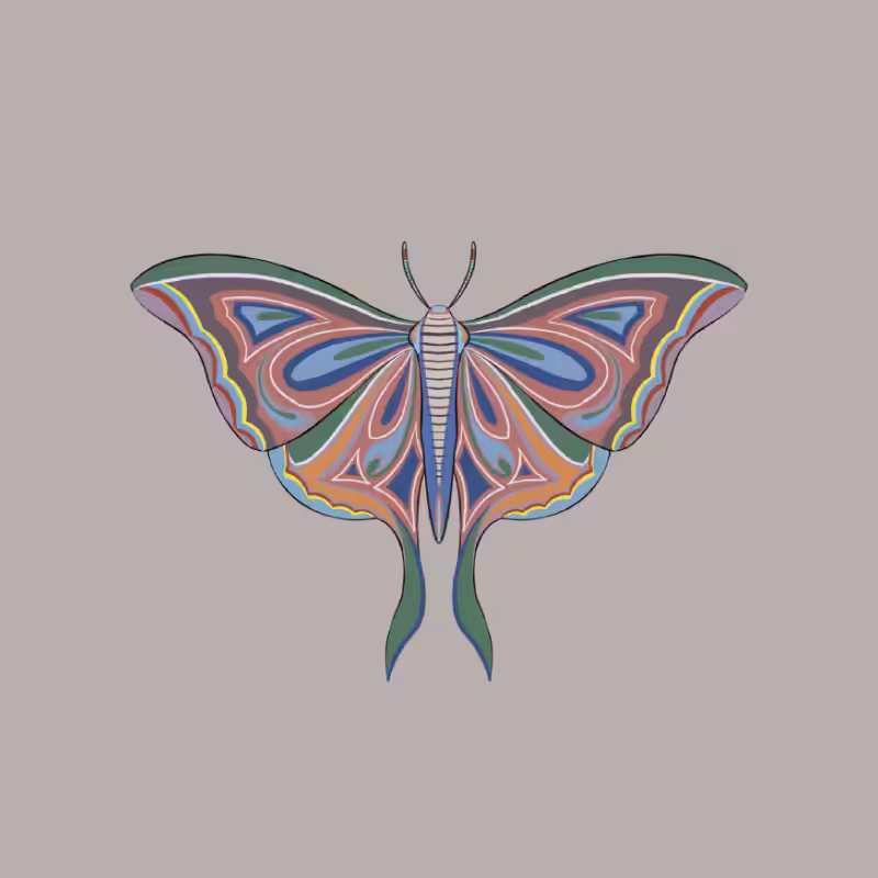 The Moth Experiment 2.0 P2 #36