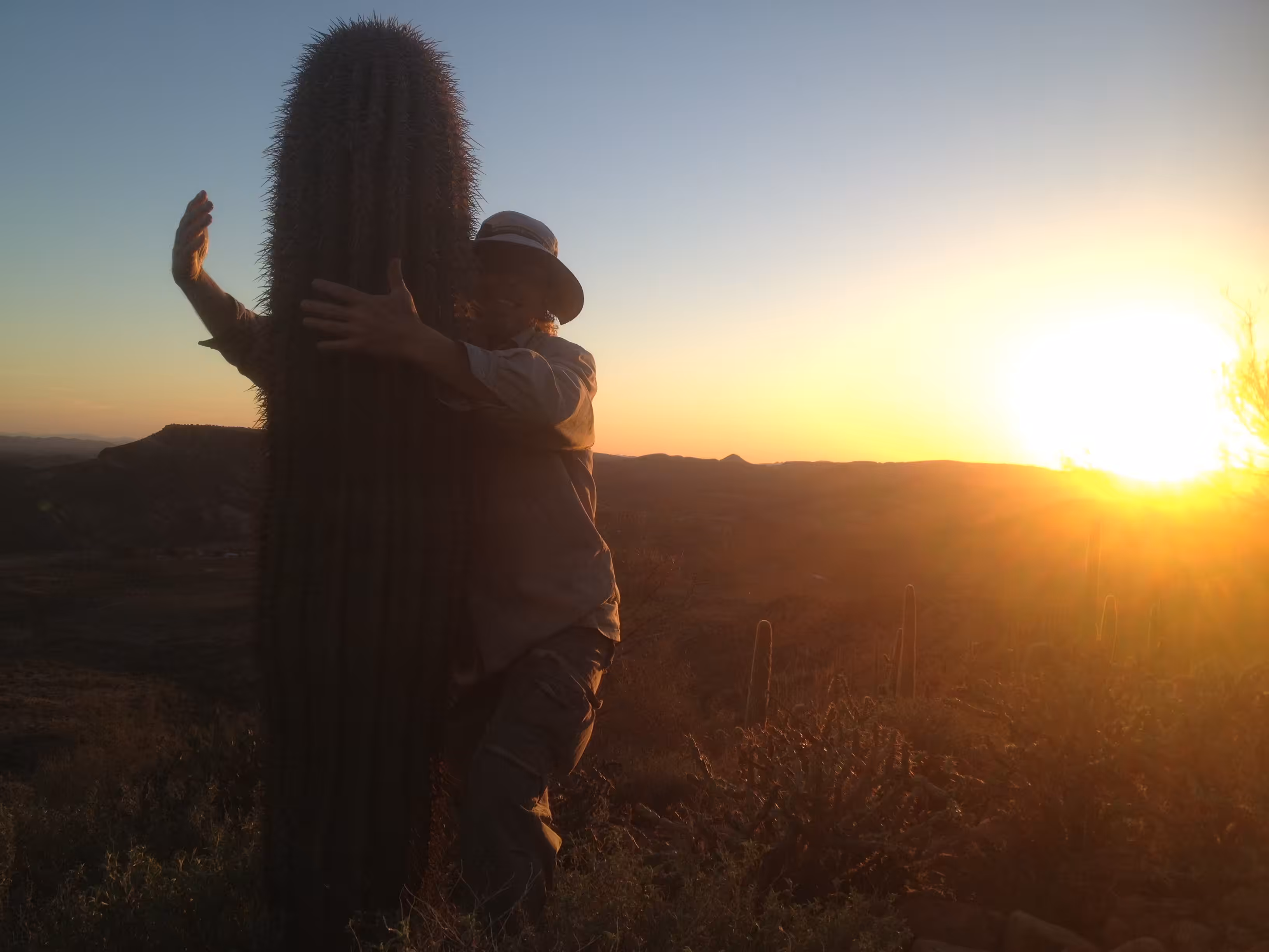 Safe Cactus Hugging Training Photo.