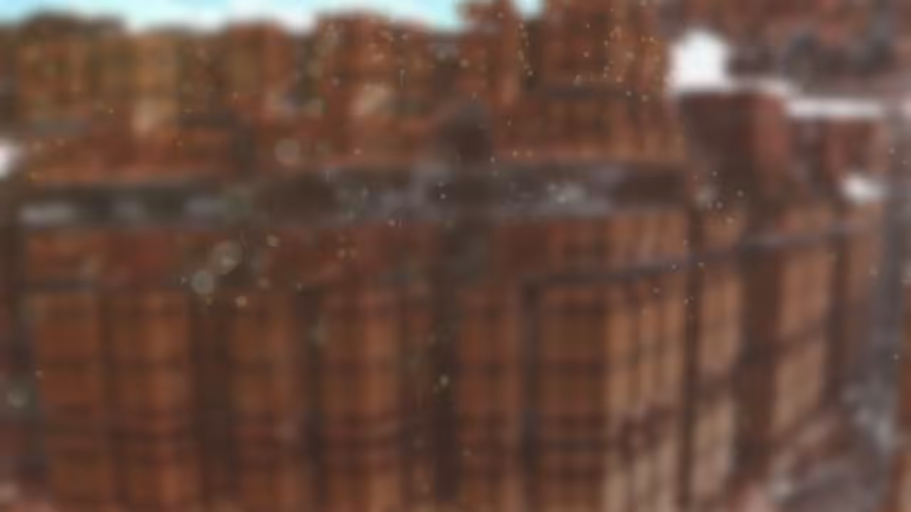 Megacity 4.3