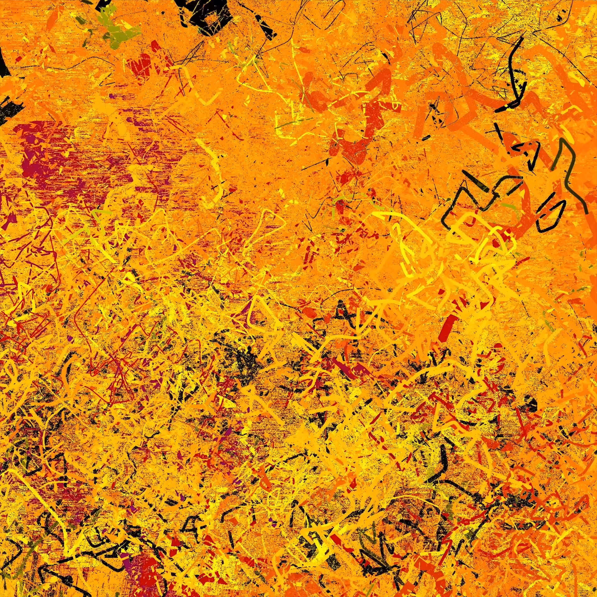 Looking For Pollock : Looking For Pollock_05