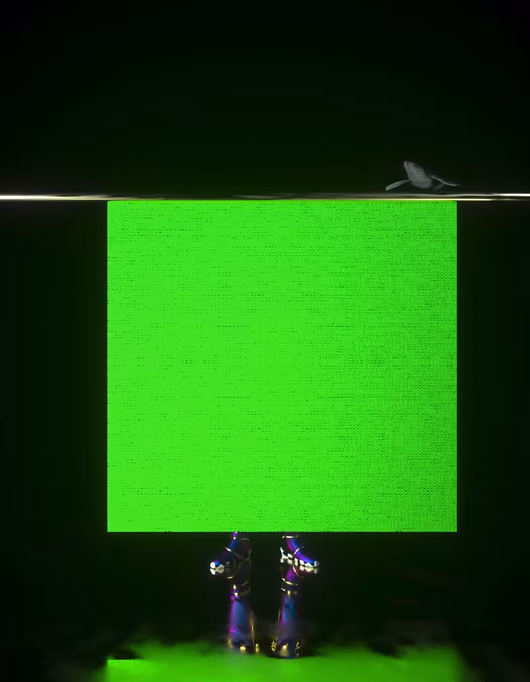Trippy Reveal