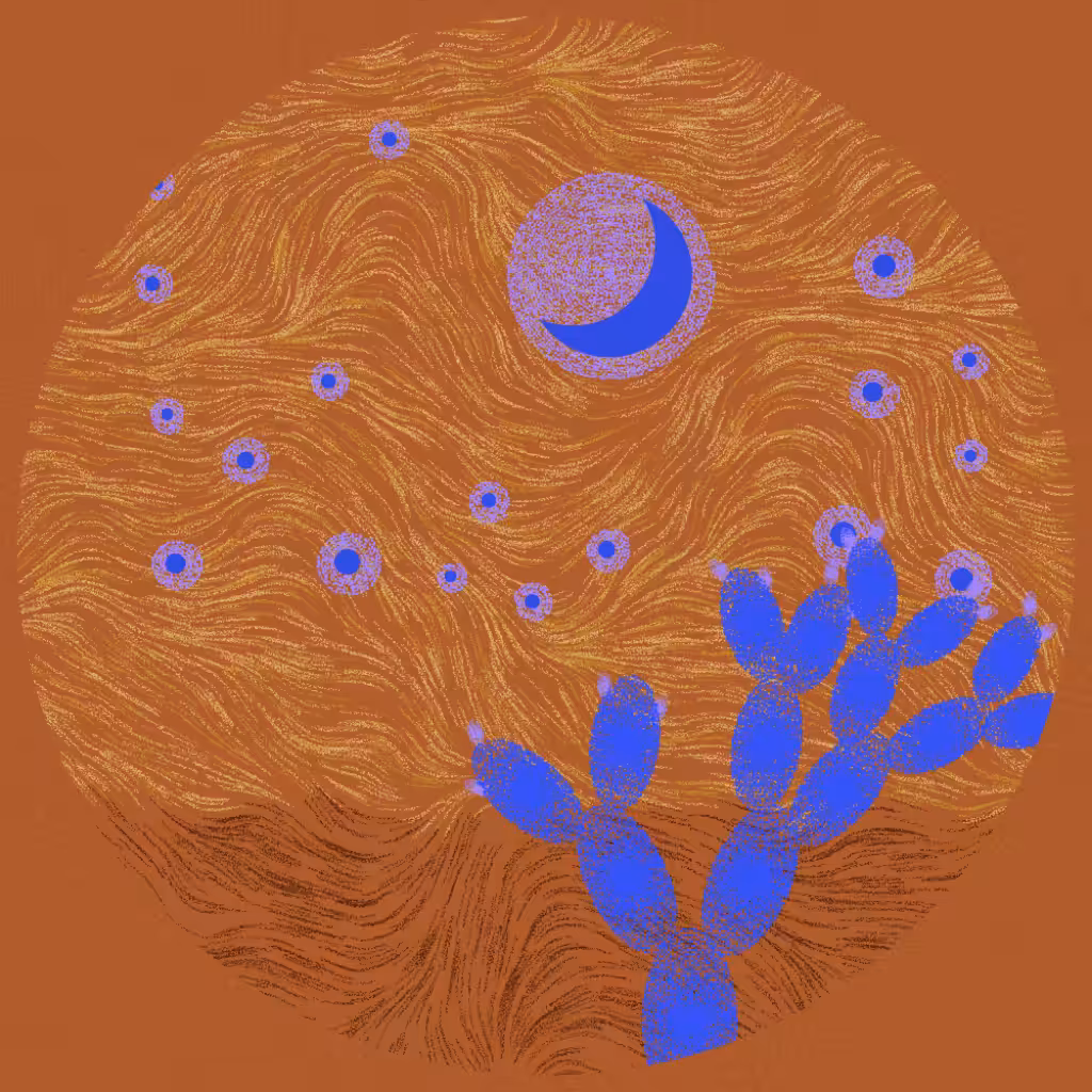Starry Night #3