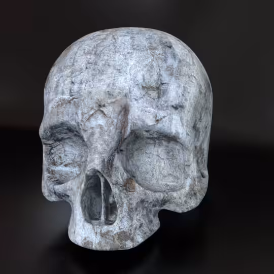 SkullZ #10