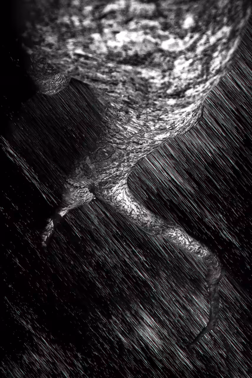 ~into the abyss~