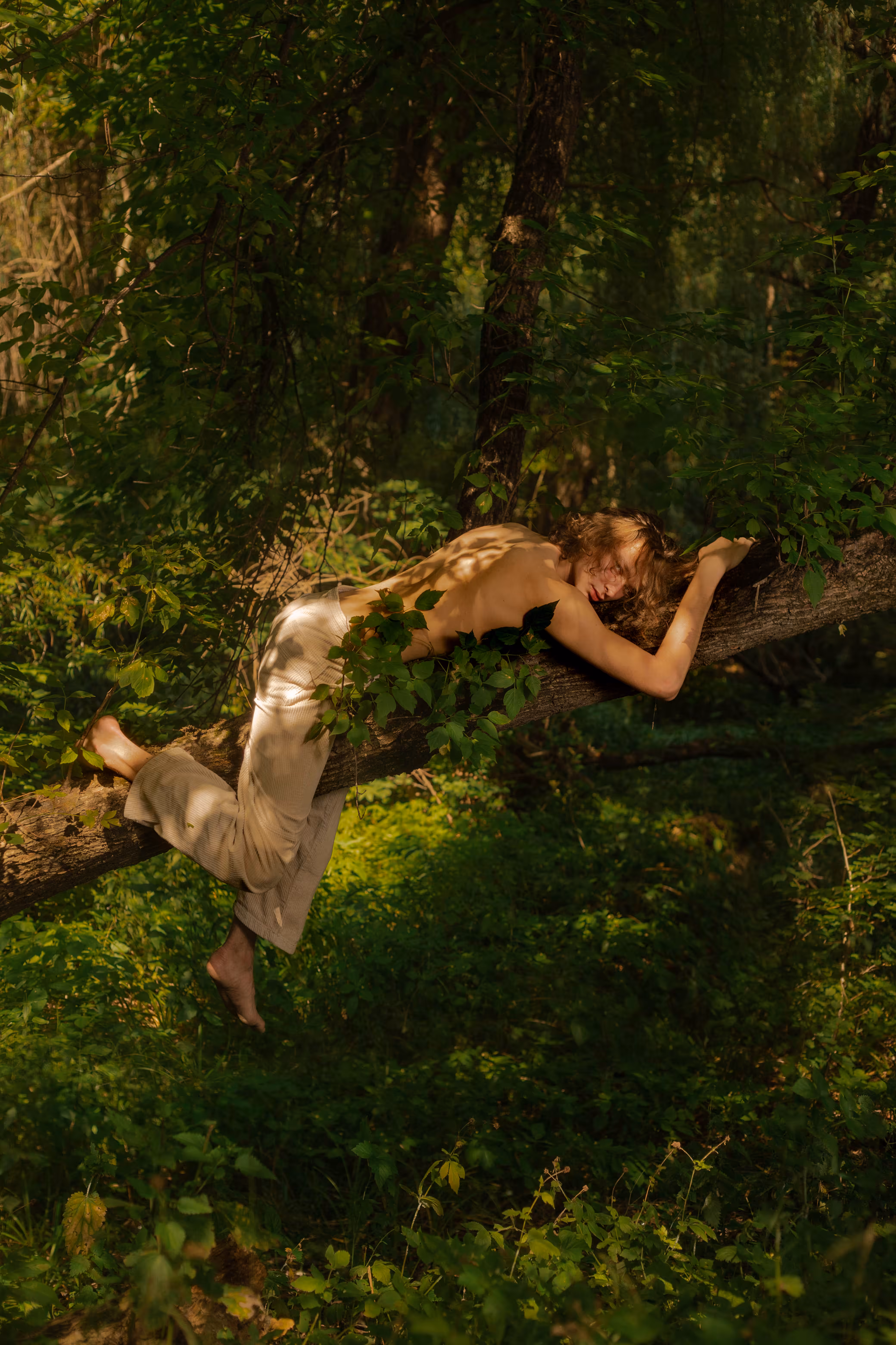 Woodland
