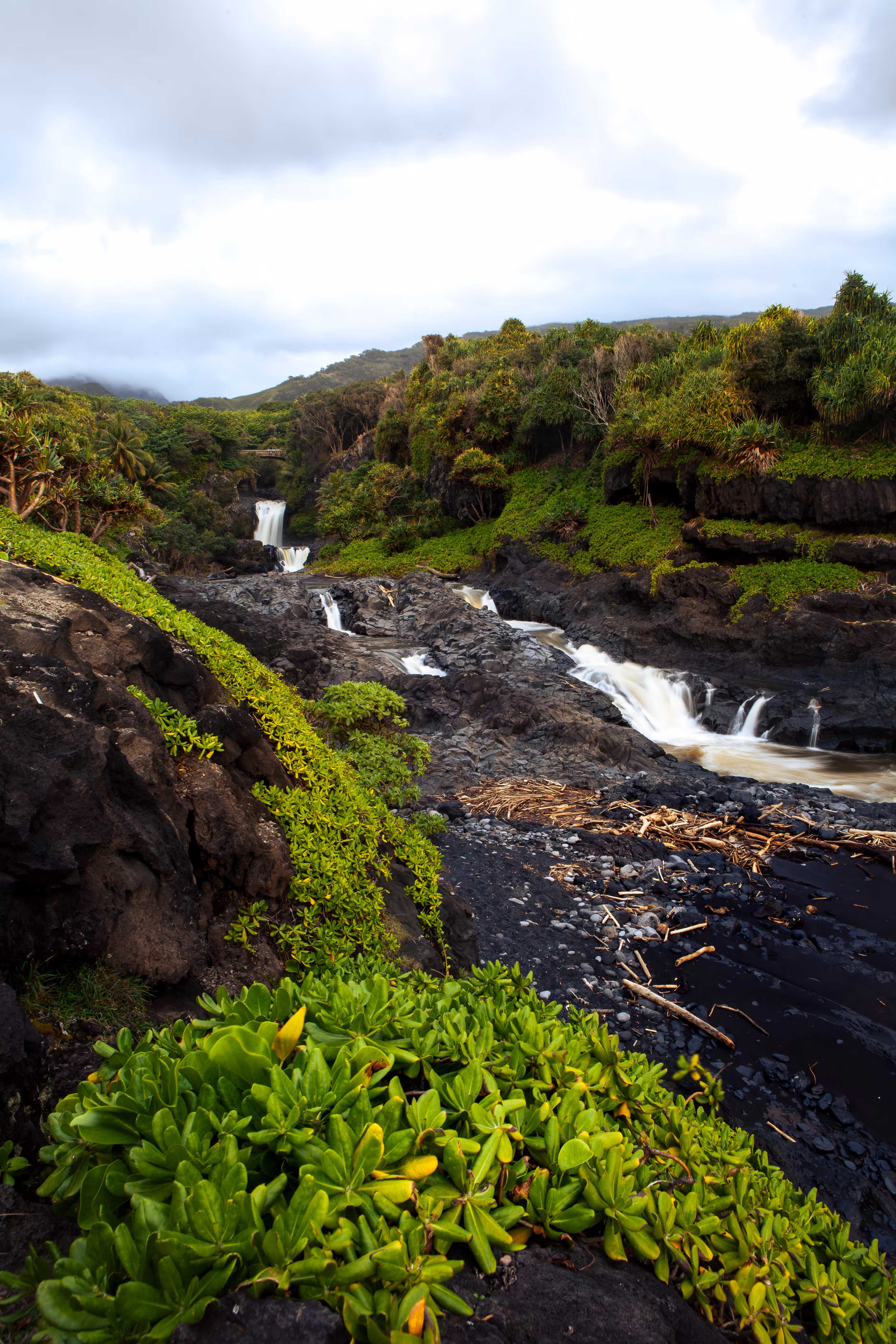 Streamy Hawaii