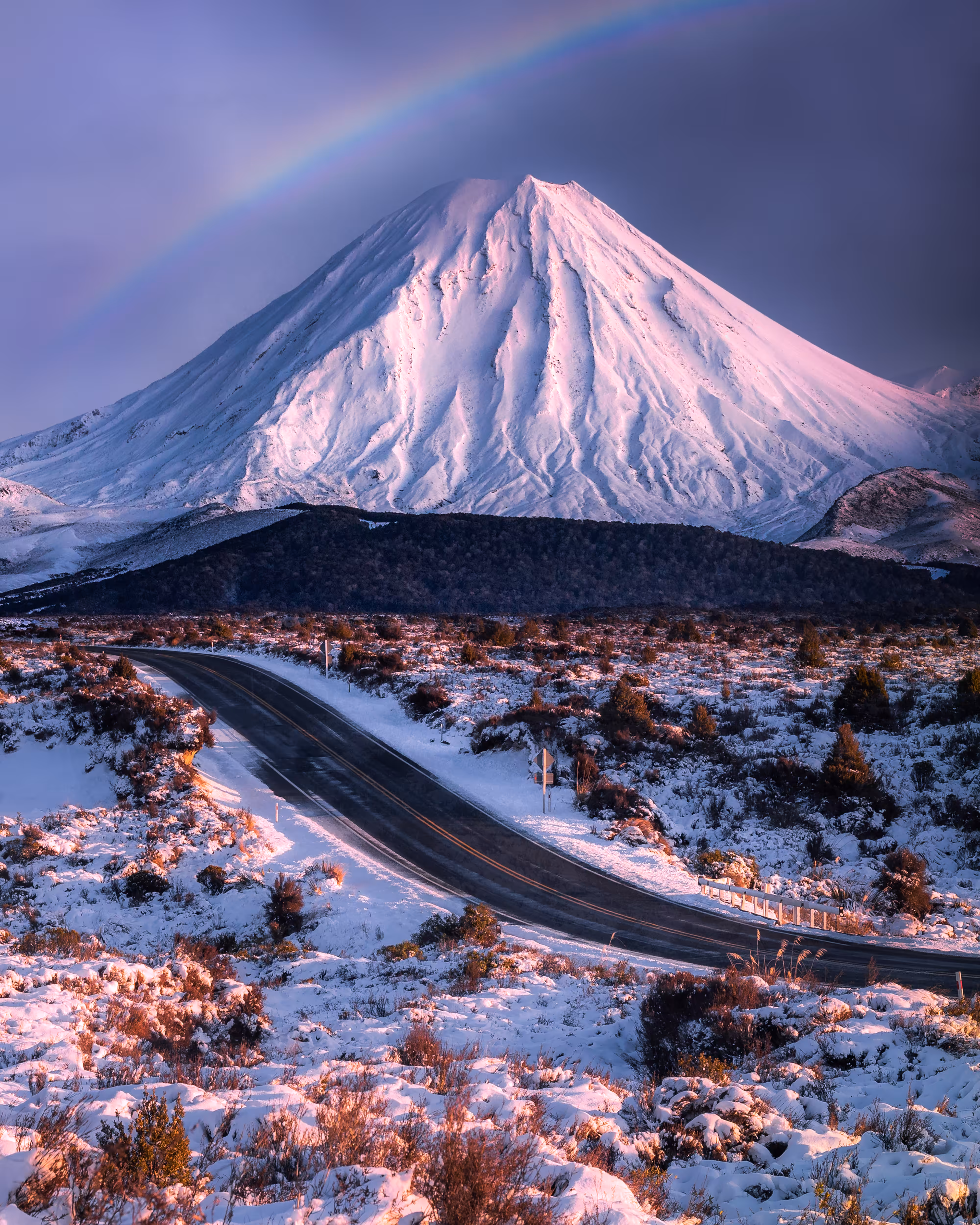 The Road Home