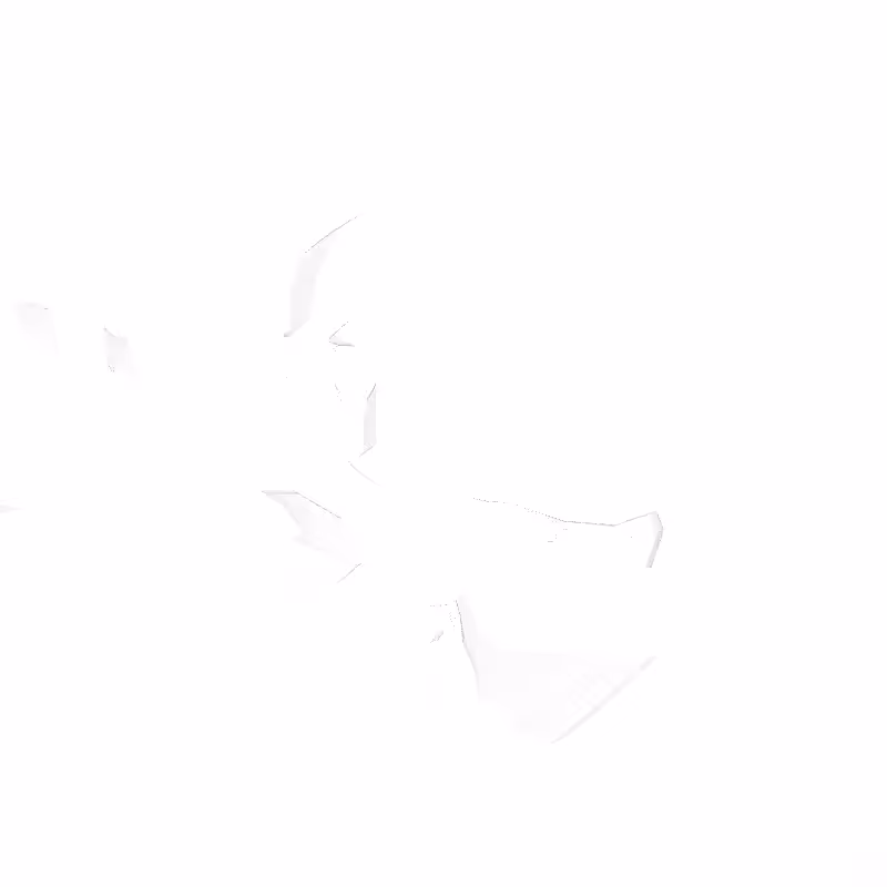 traces #50