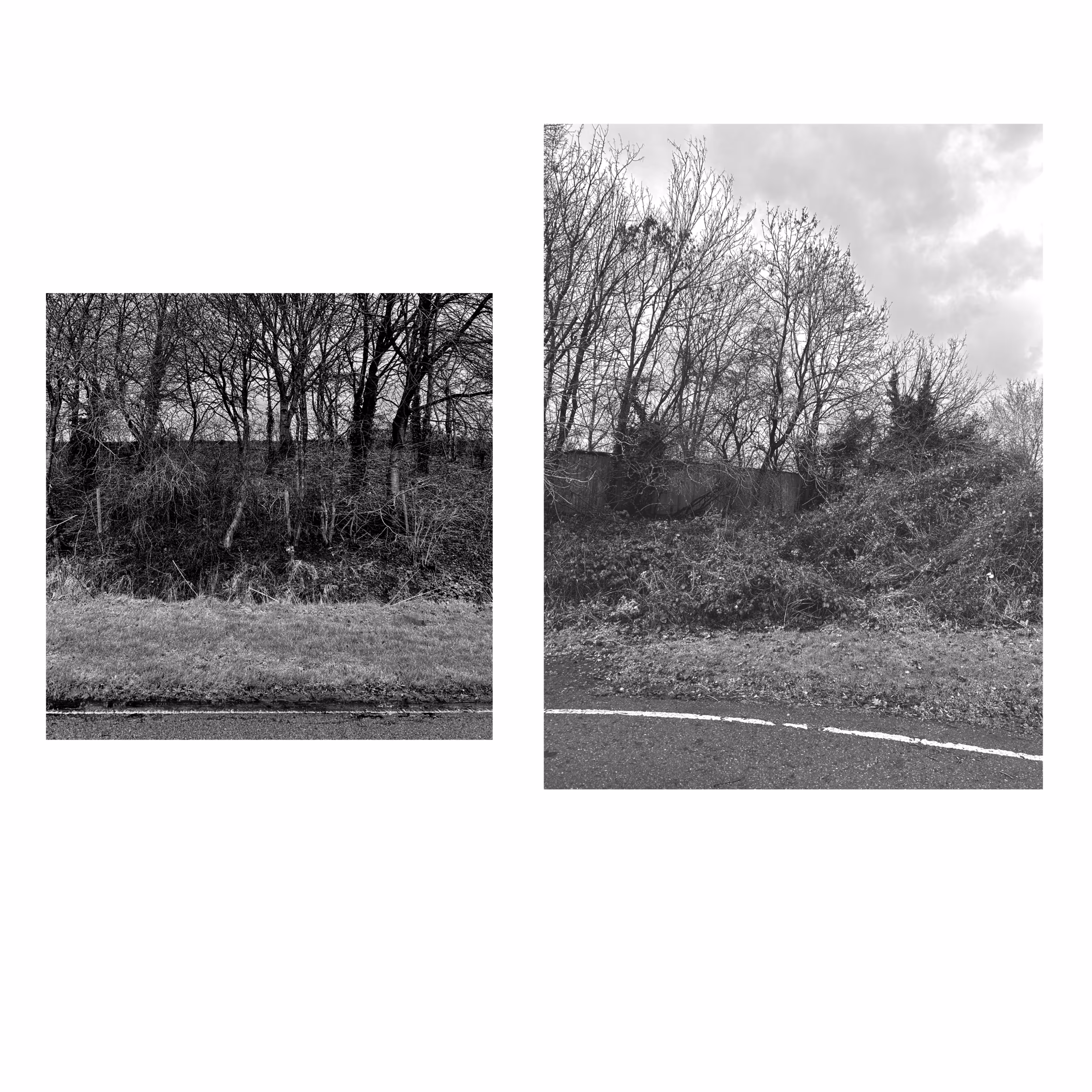 photograph 38