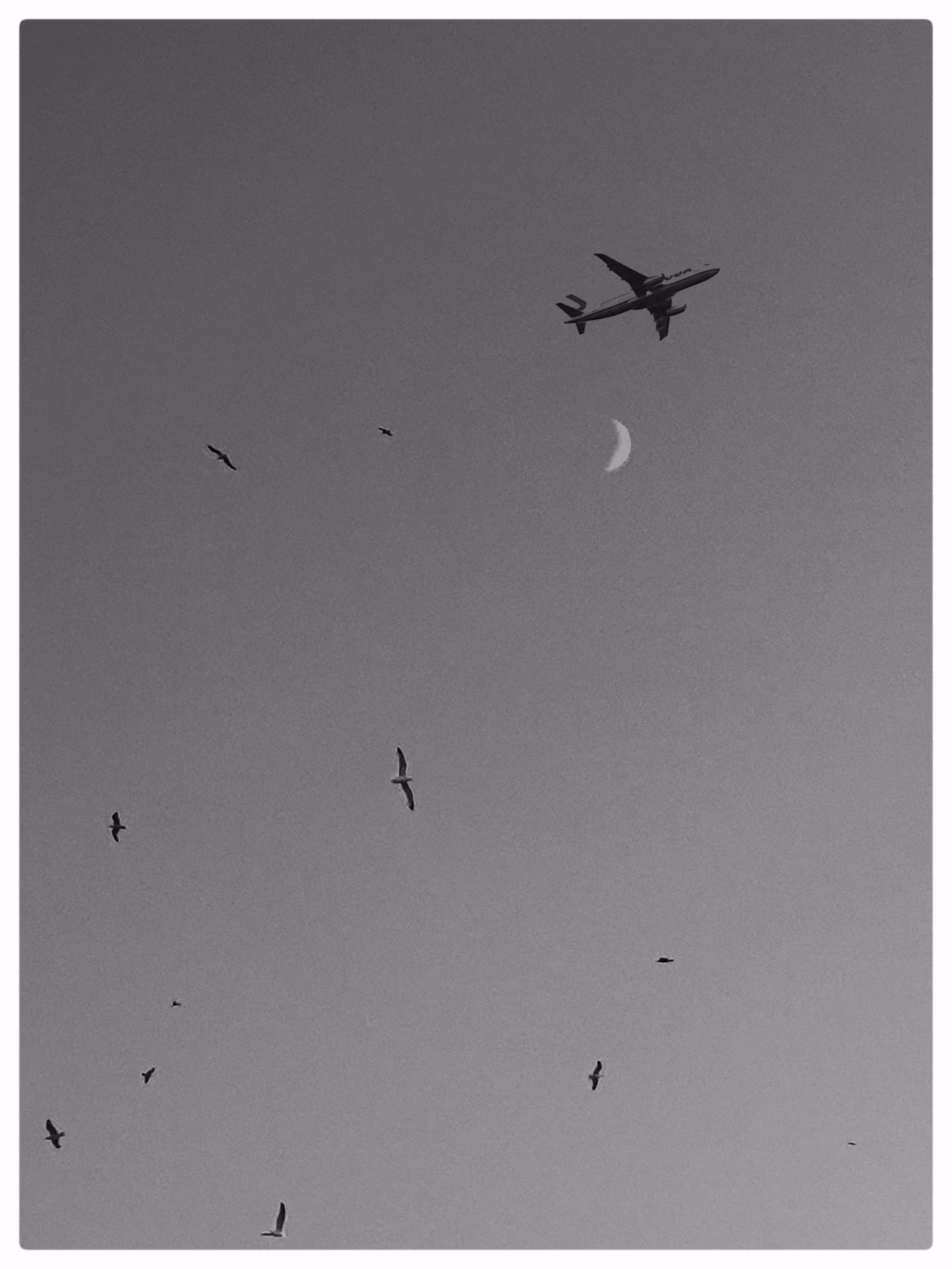 Flight 