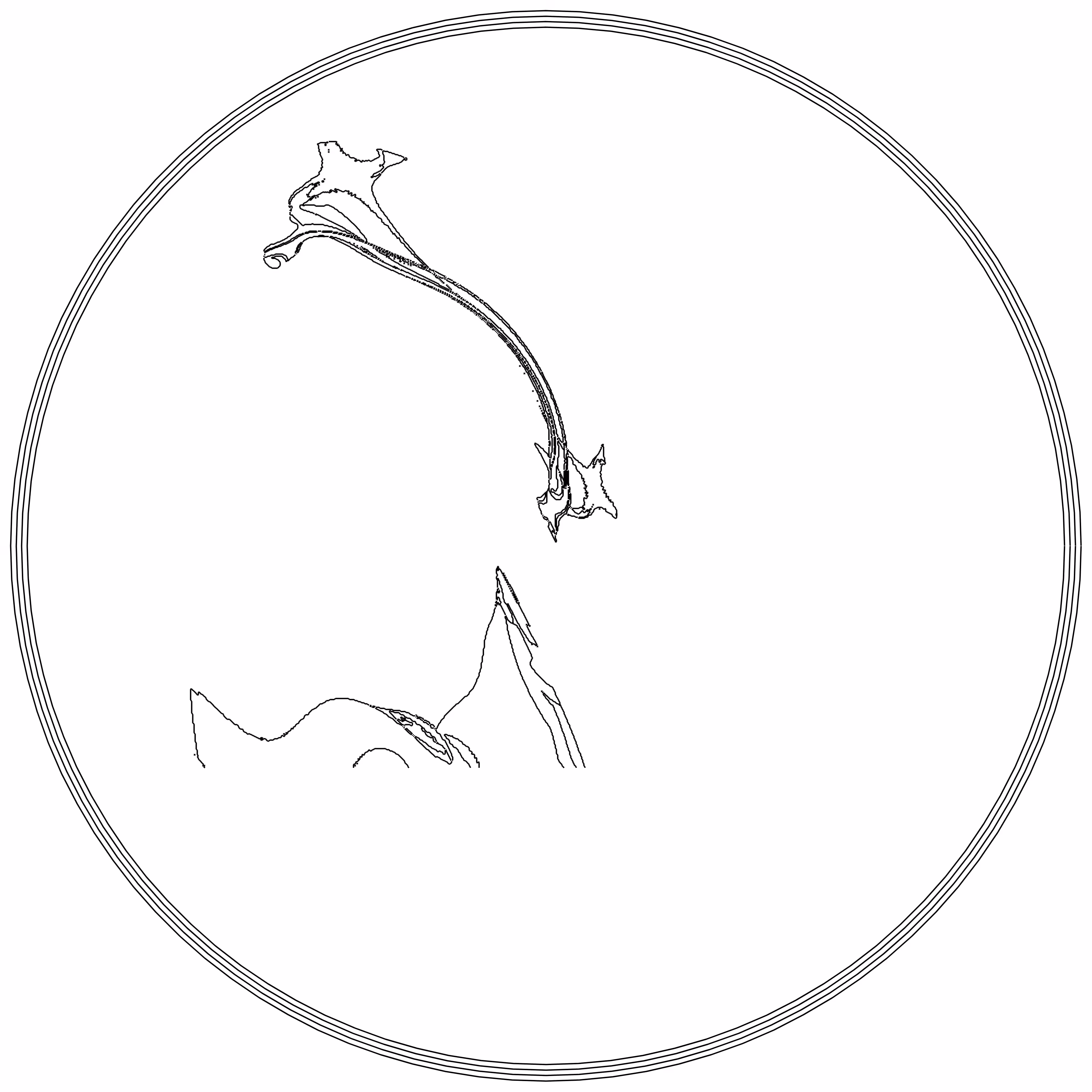 LL21 Fractal Contour #85
