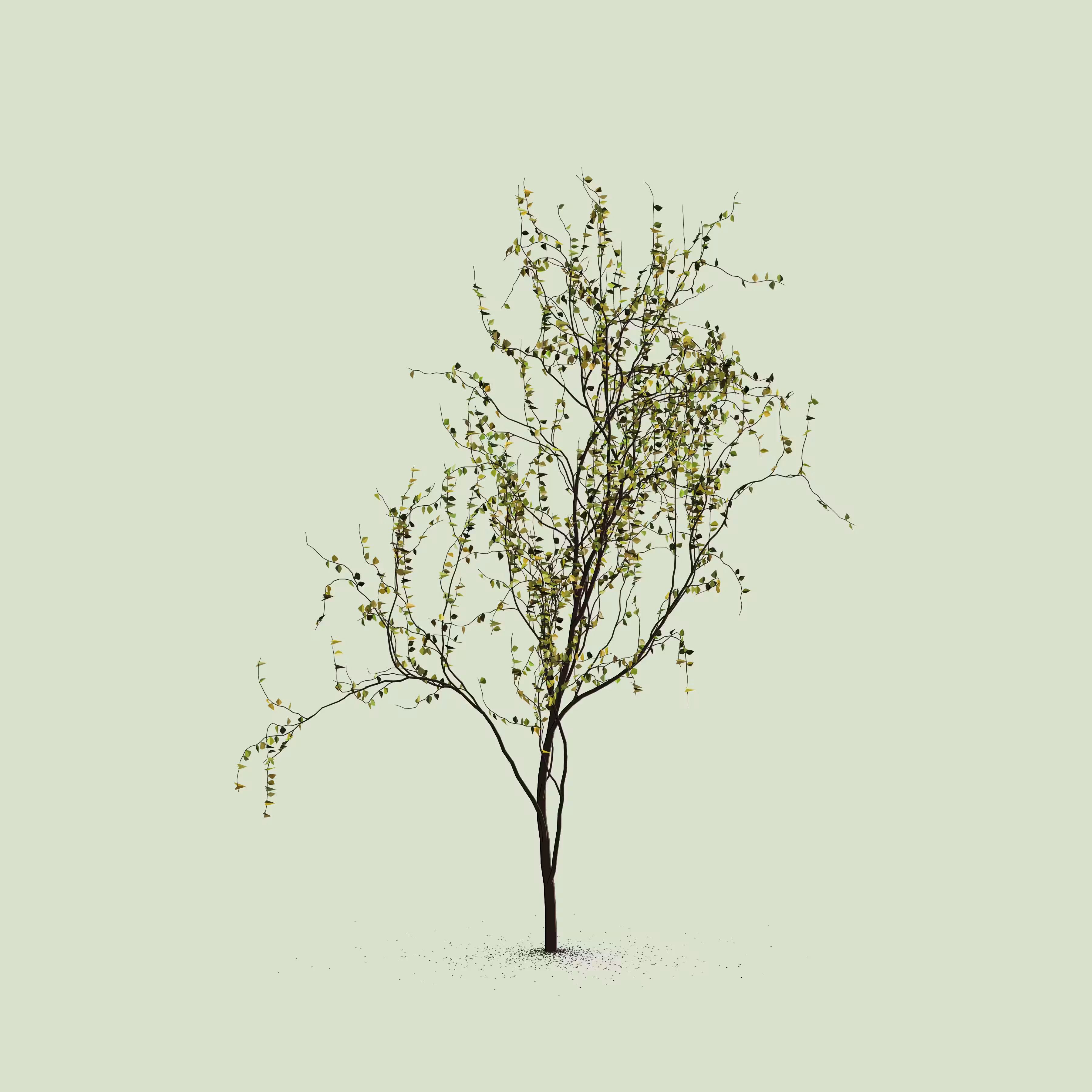 Little Trees #80