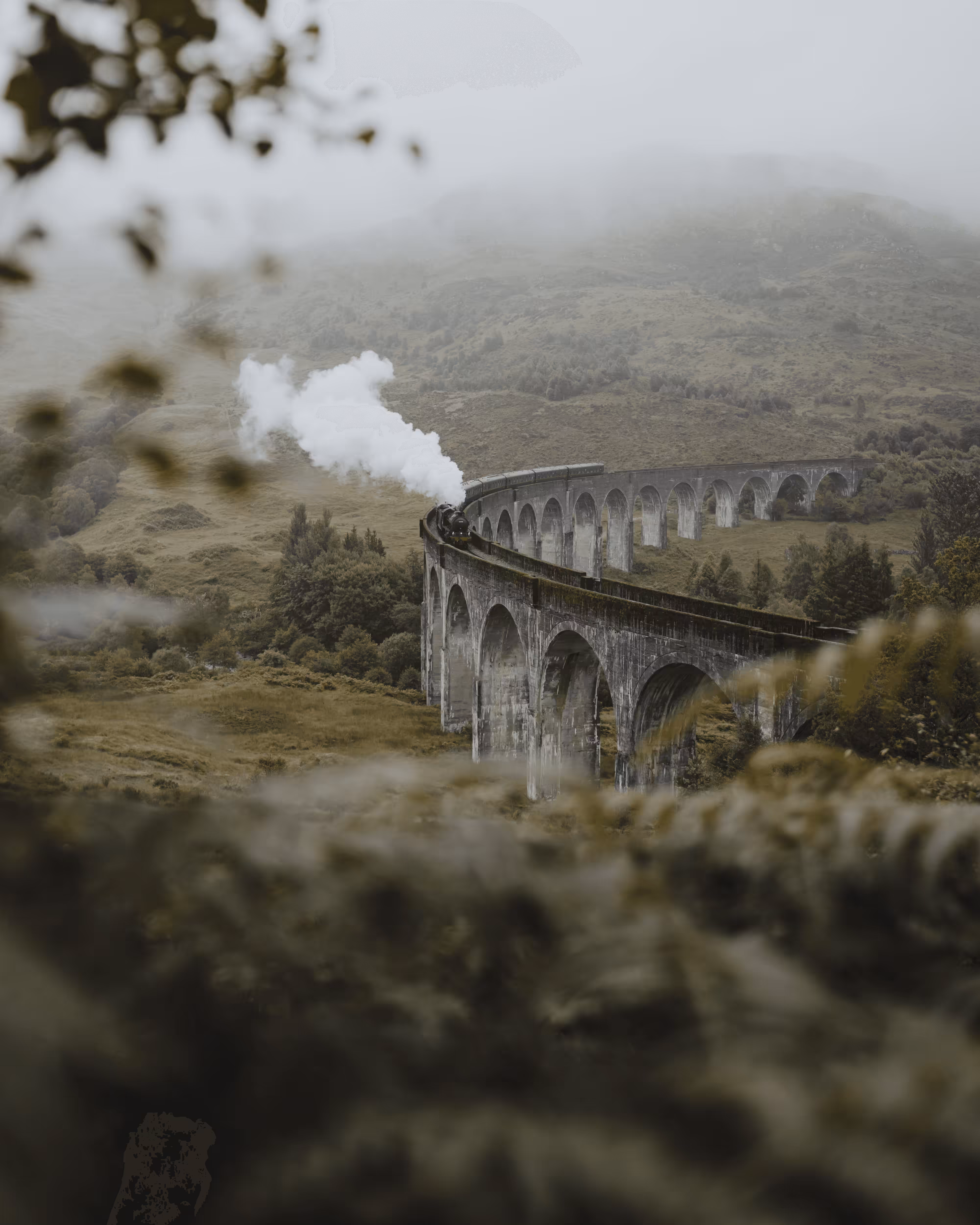 #6. Chasing Harry Potter 