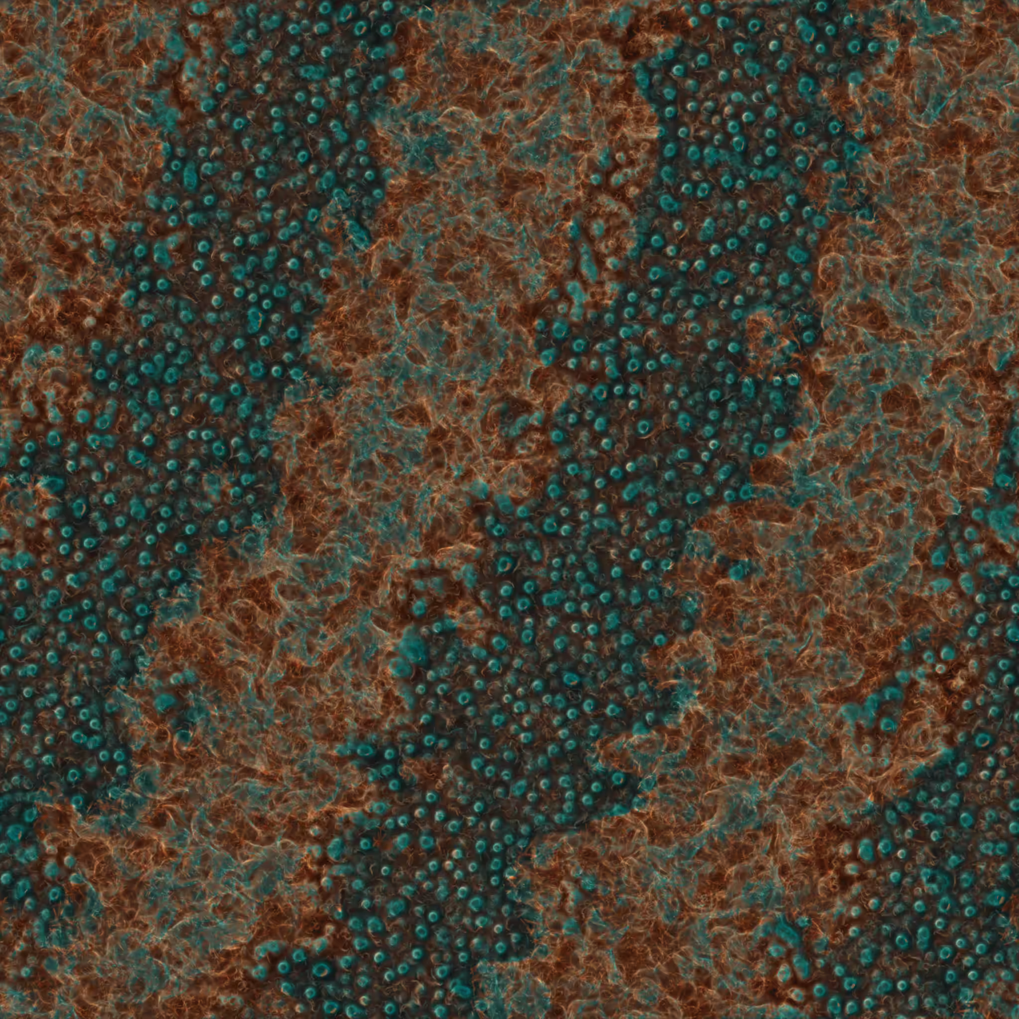 saprophyte #195