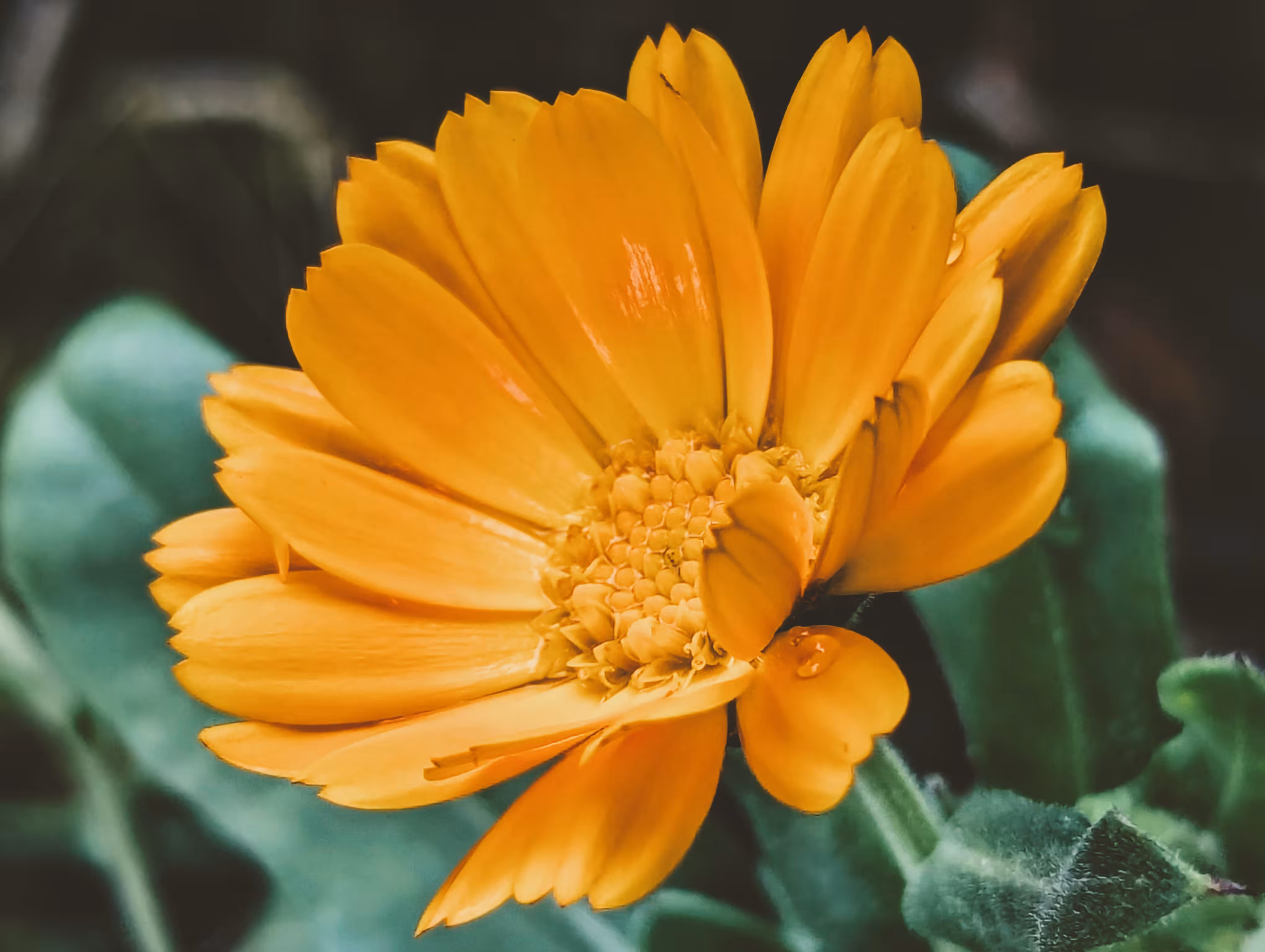 Luke_0x1 Photography : Look to the sun