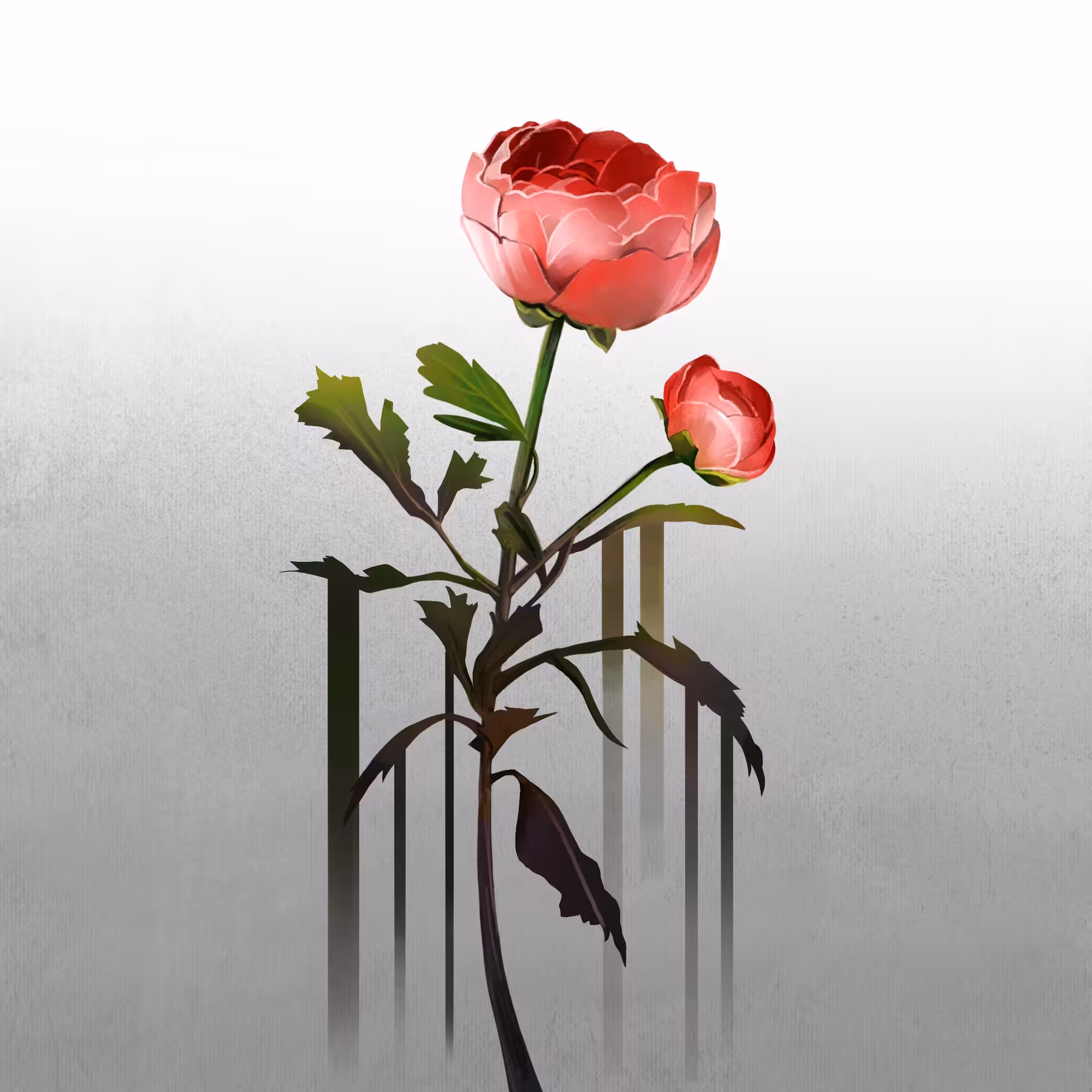 00:00:01 - Rose
