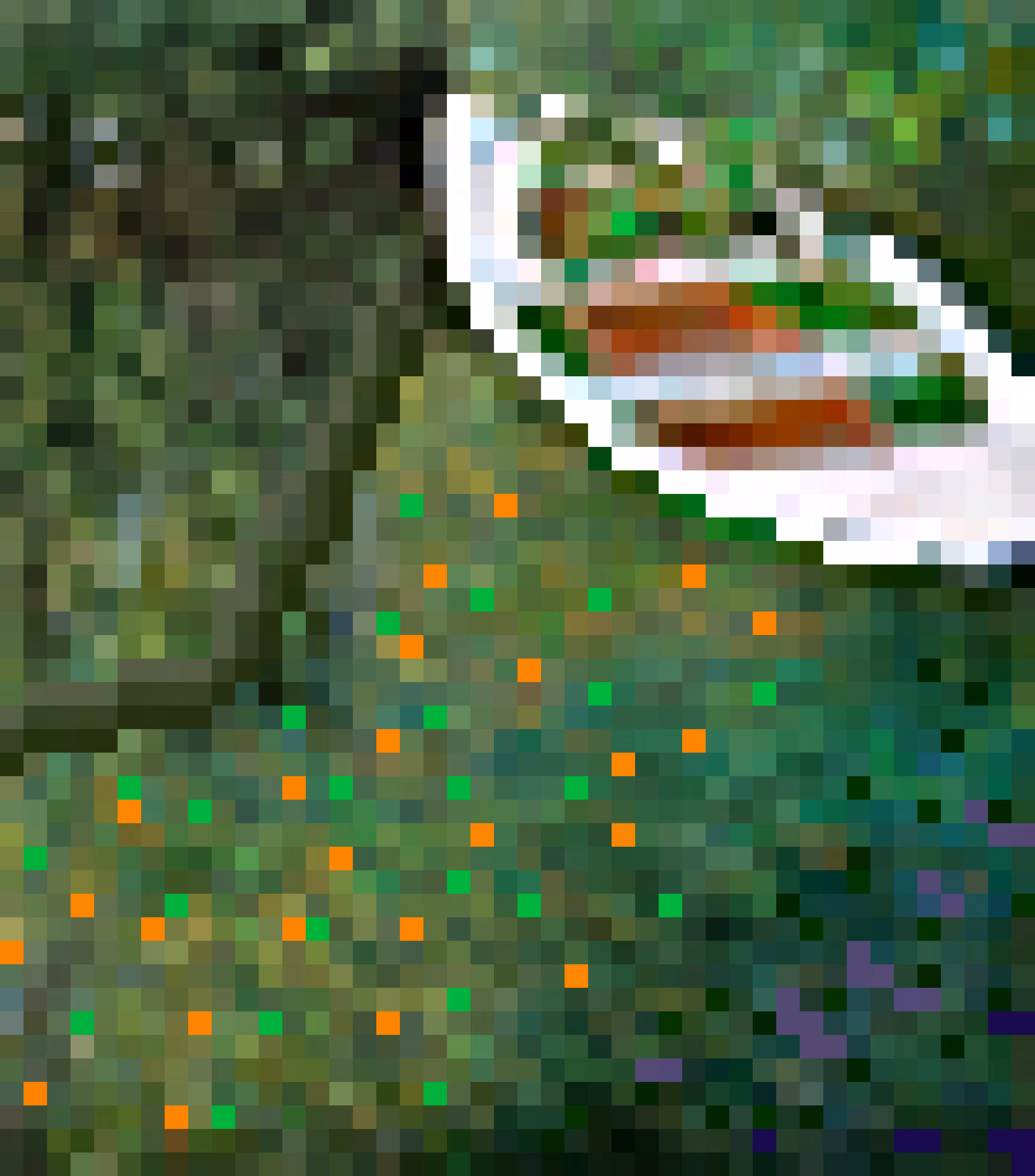 The Row Boat