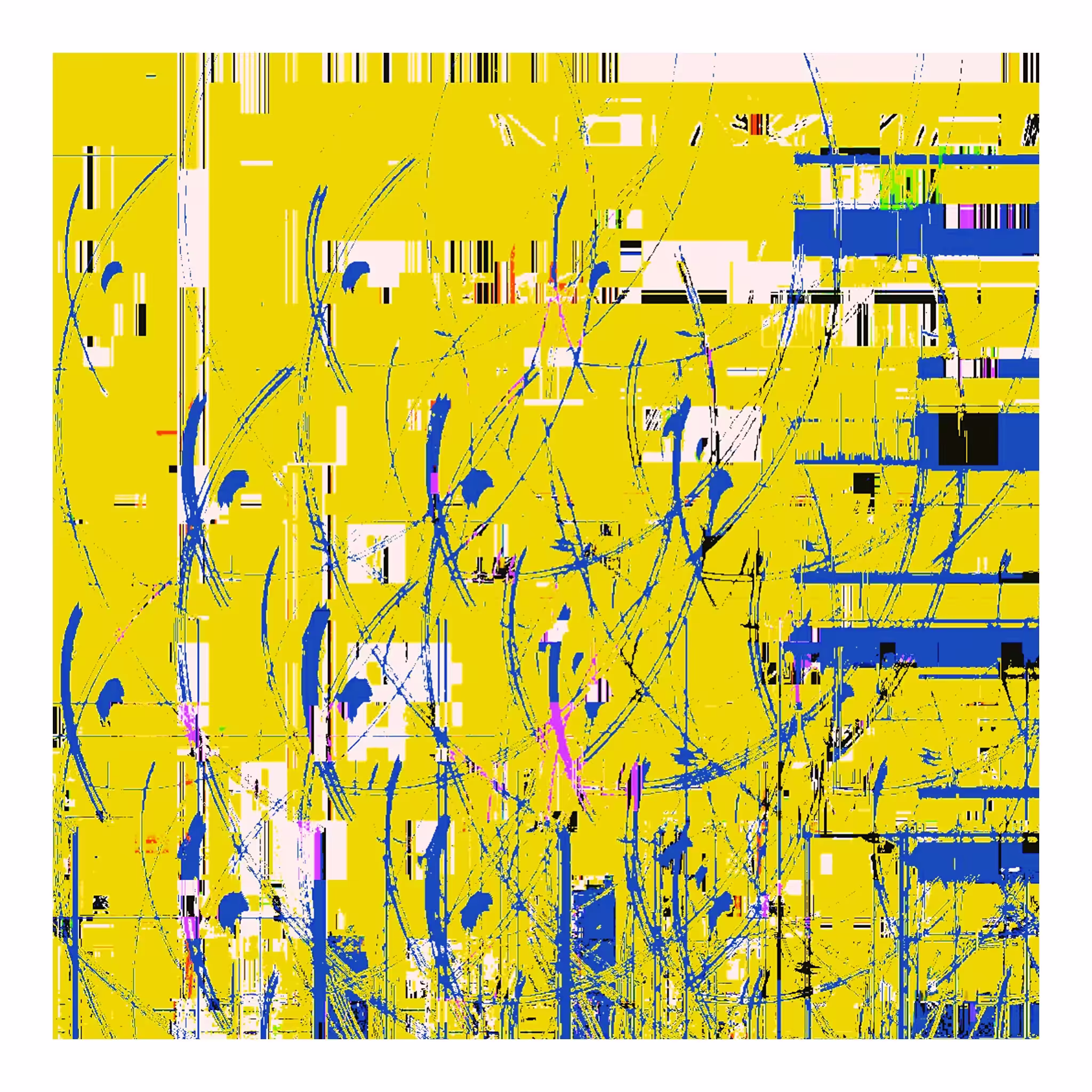 Y006