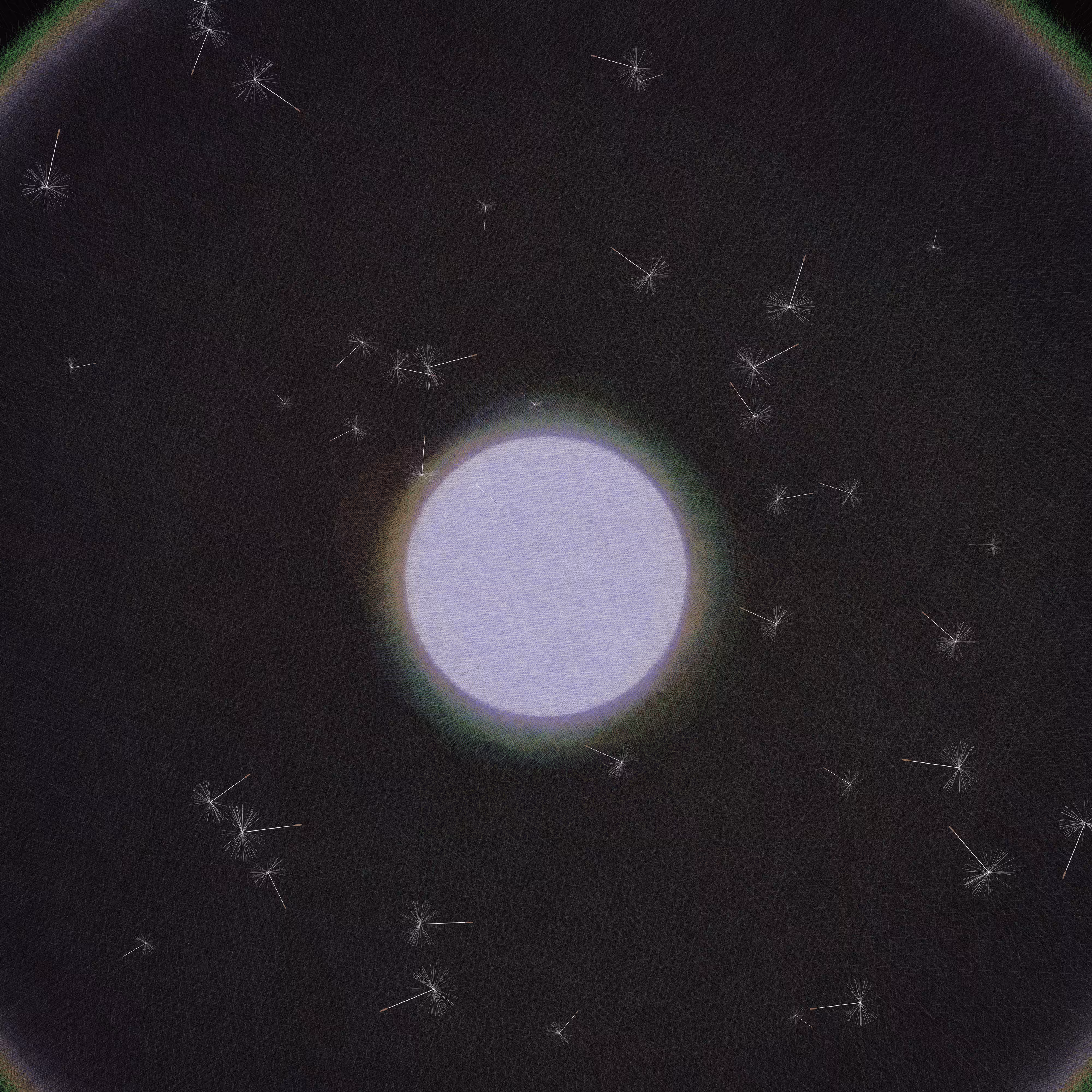 Dandelion Sky #5
