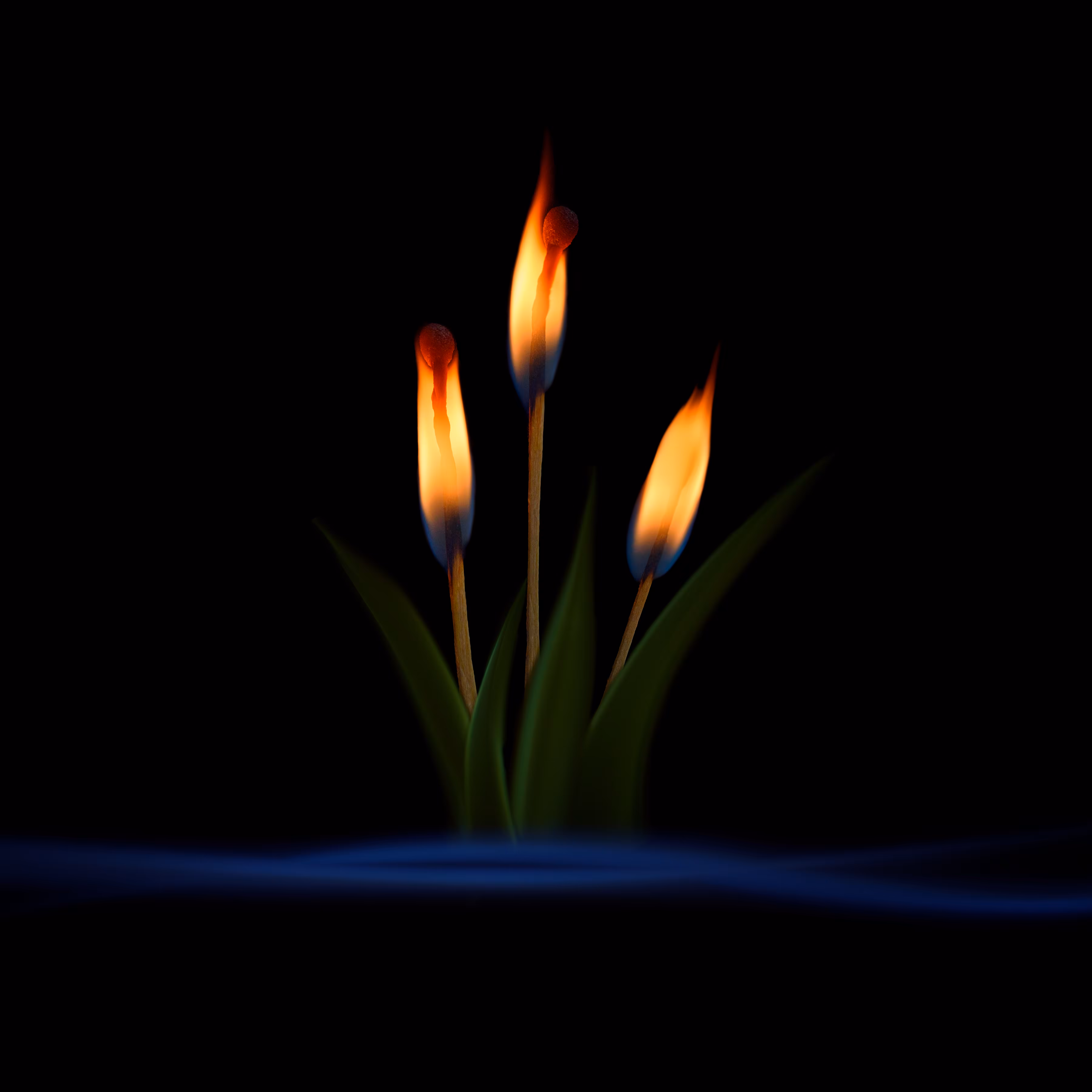 #47 - Cattails