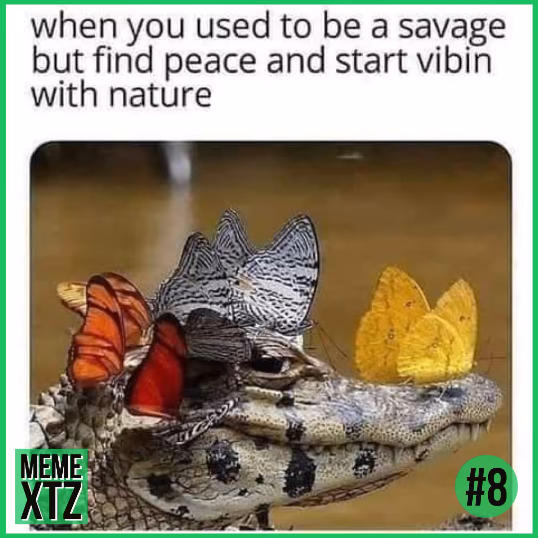 MEME XTZ #8