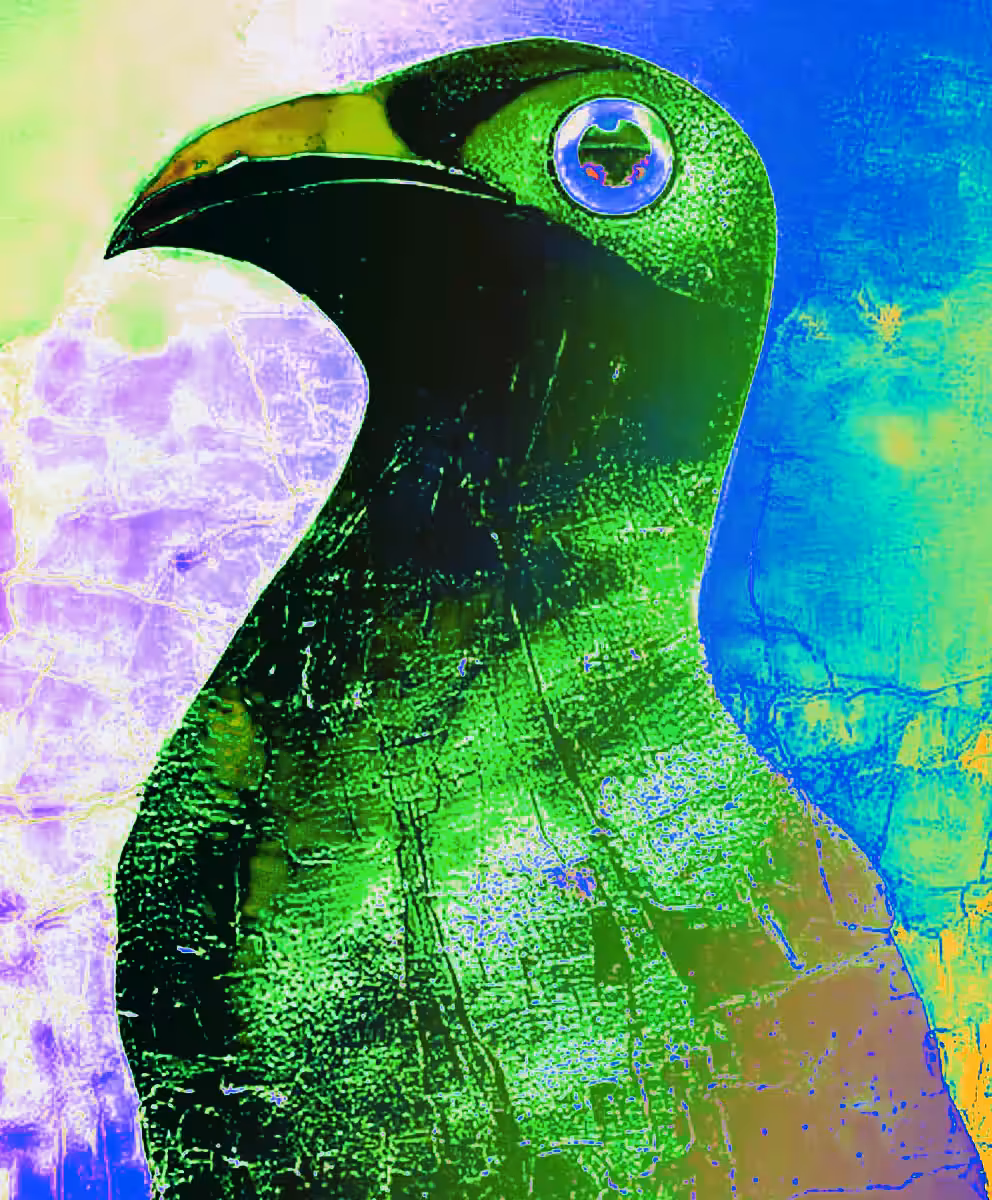 Feathered Dreams