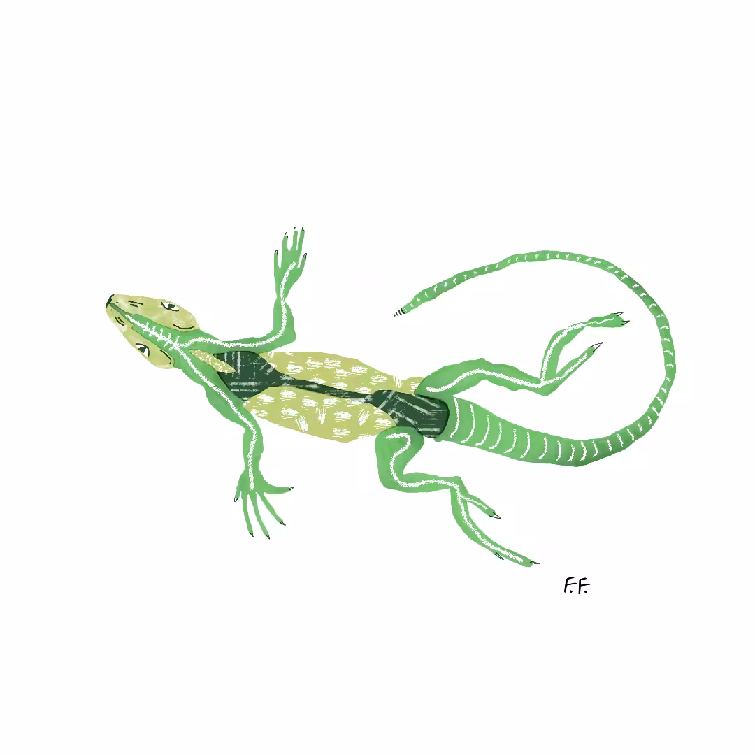 Lizard