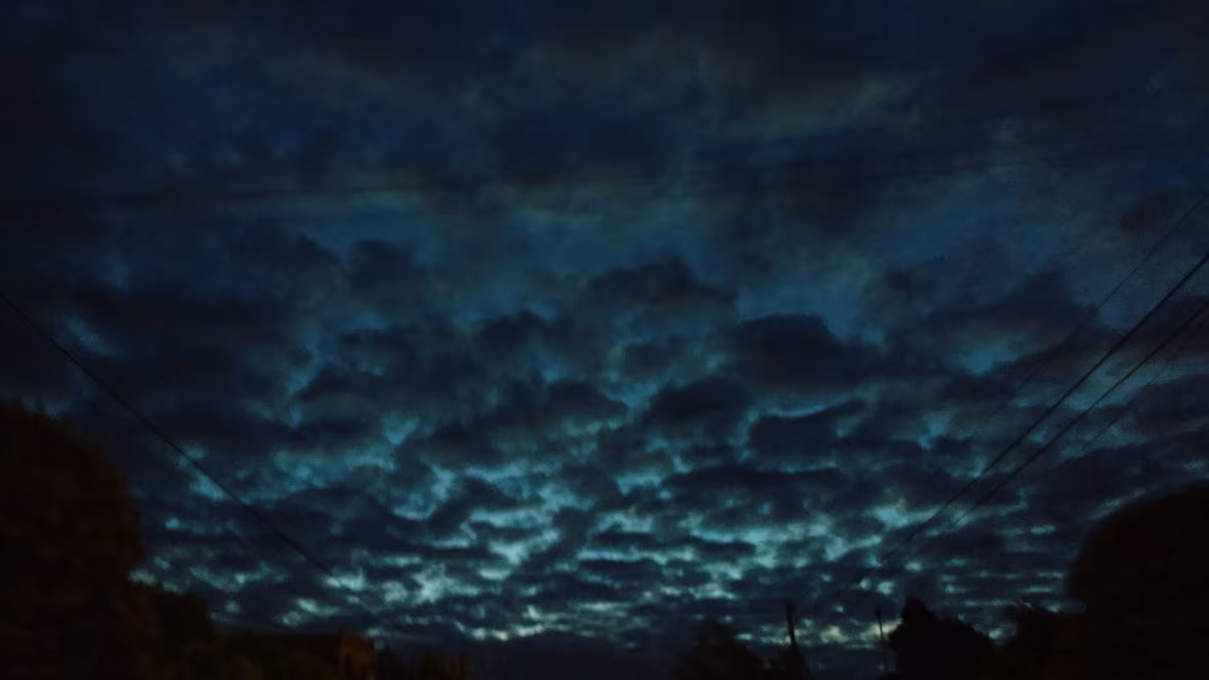 Whispers in midnight blue