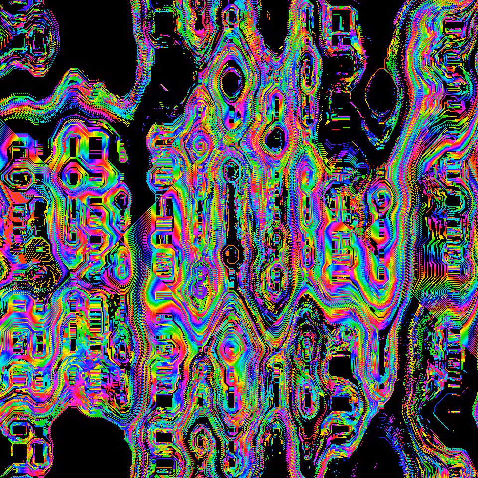 X0X559